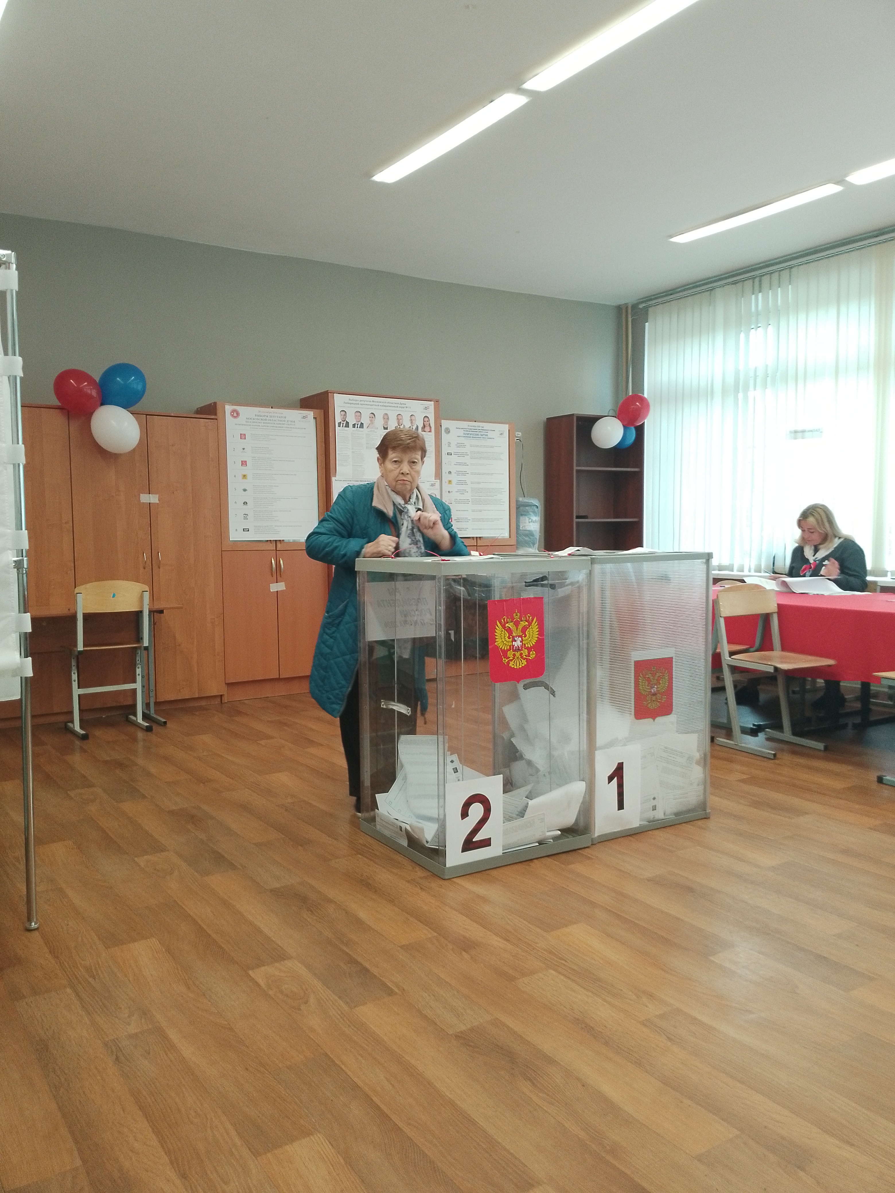 Сообщение — УИК №3845, Московская область