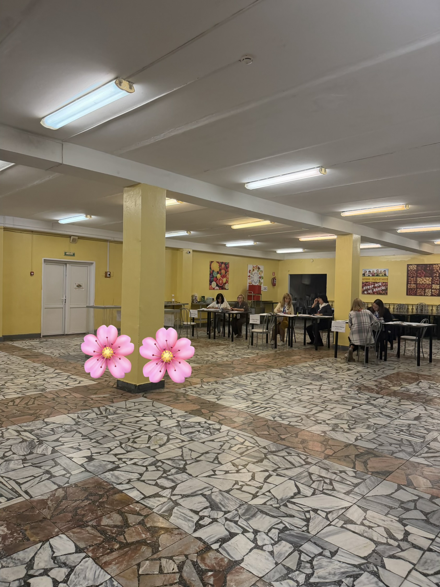 Сообщение — УИК №3100, Московская область