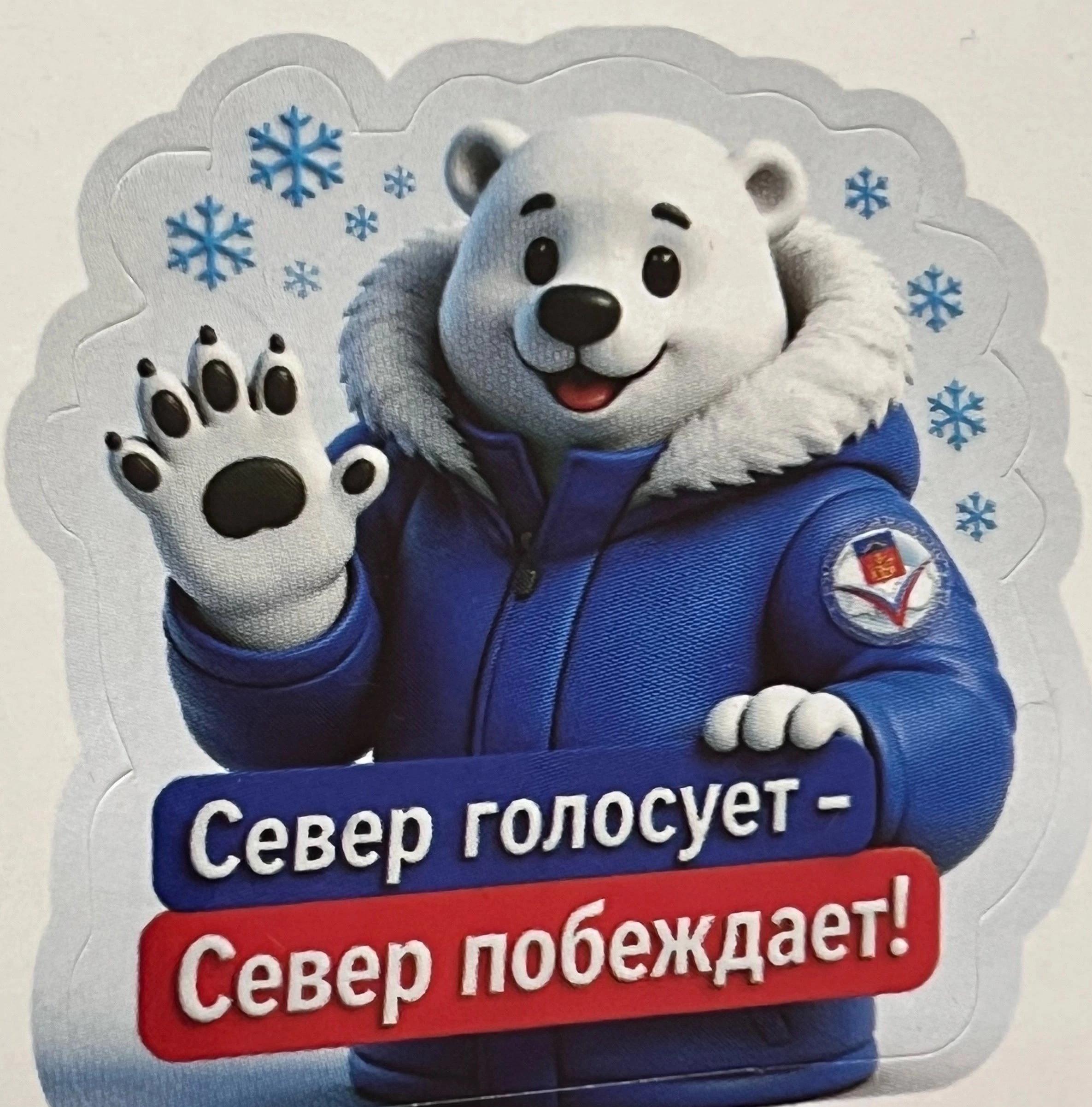 Сообщение — УИК №45, Мурманская область