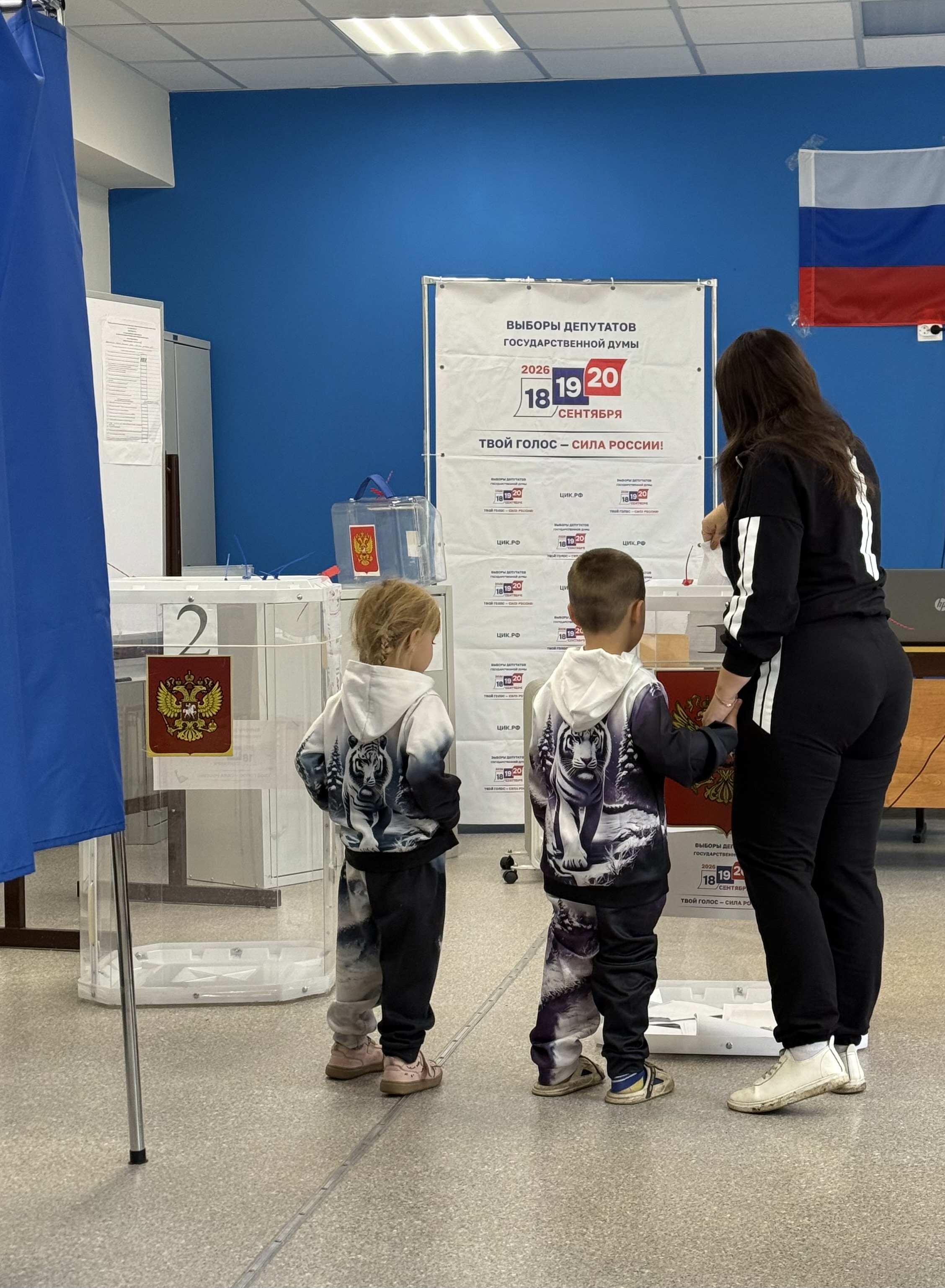 Сообщение — УИК №3824, Воронежская область