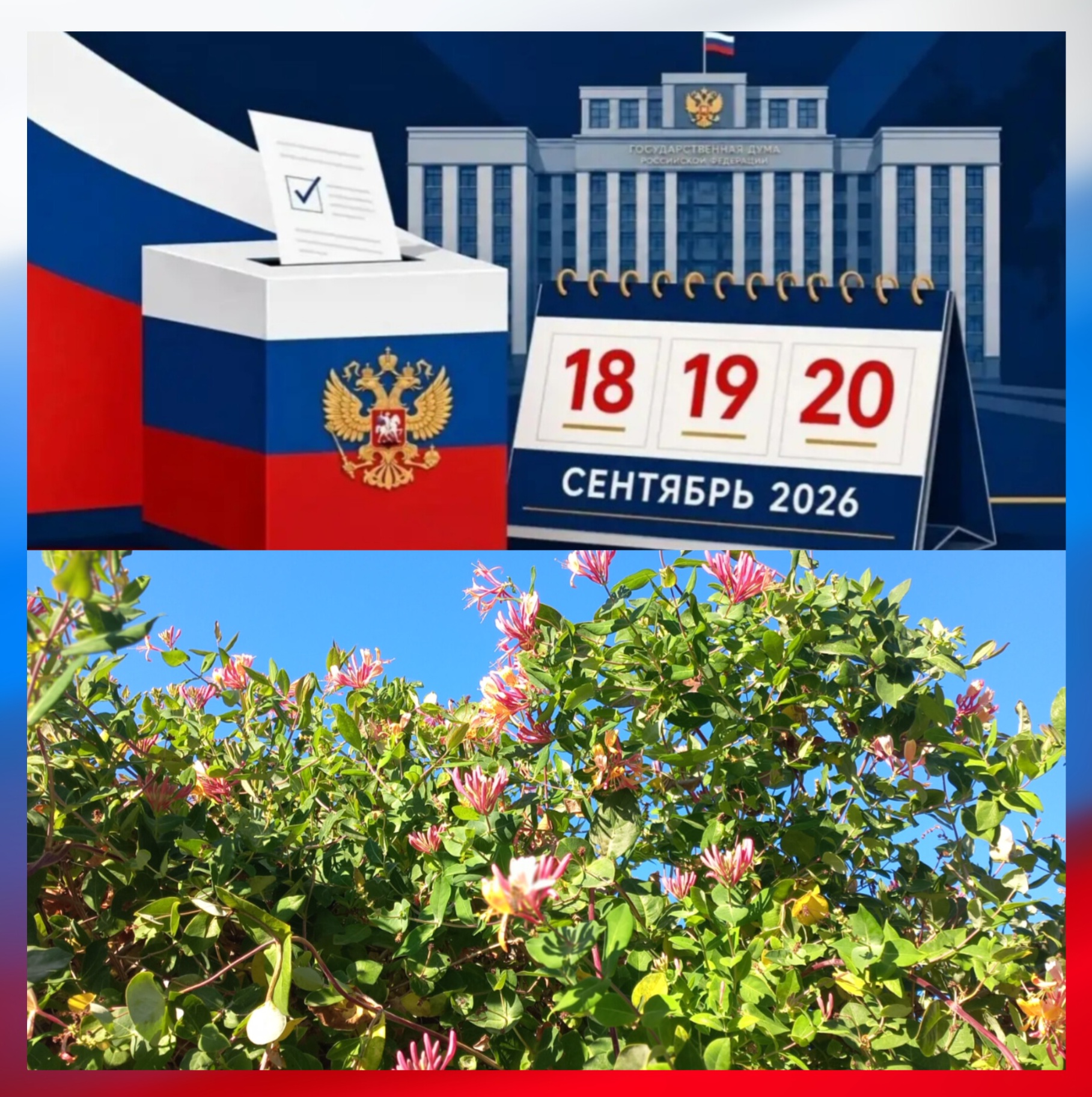Сообщение — УИК №321, Вологодская область