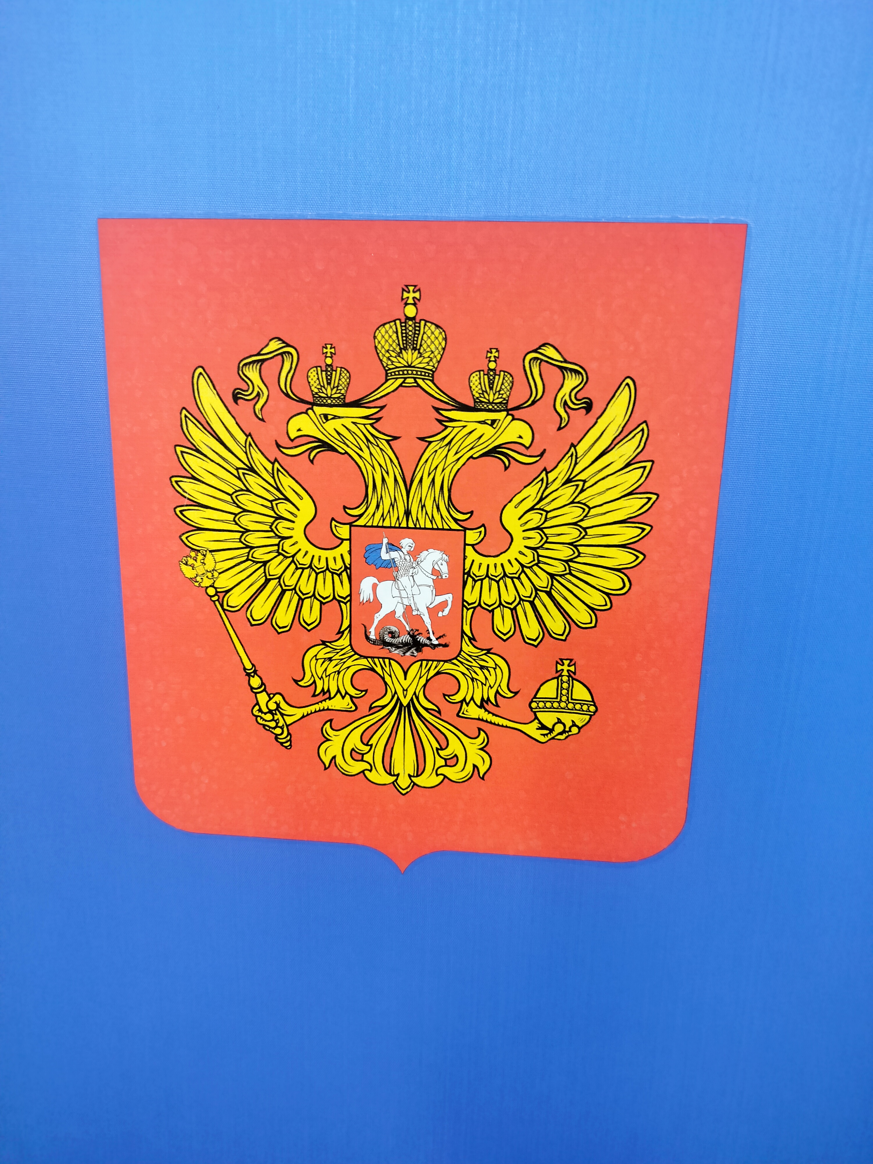 Сообщение — УИК №787, Санкт-Петербург