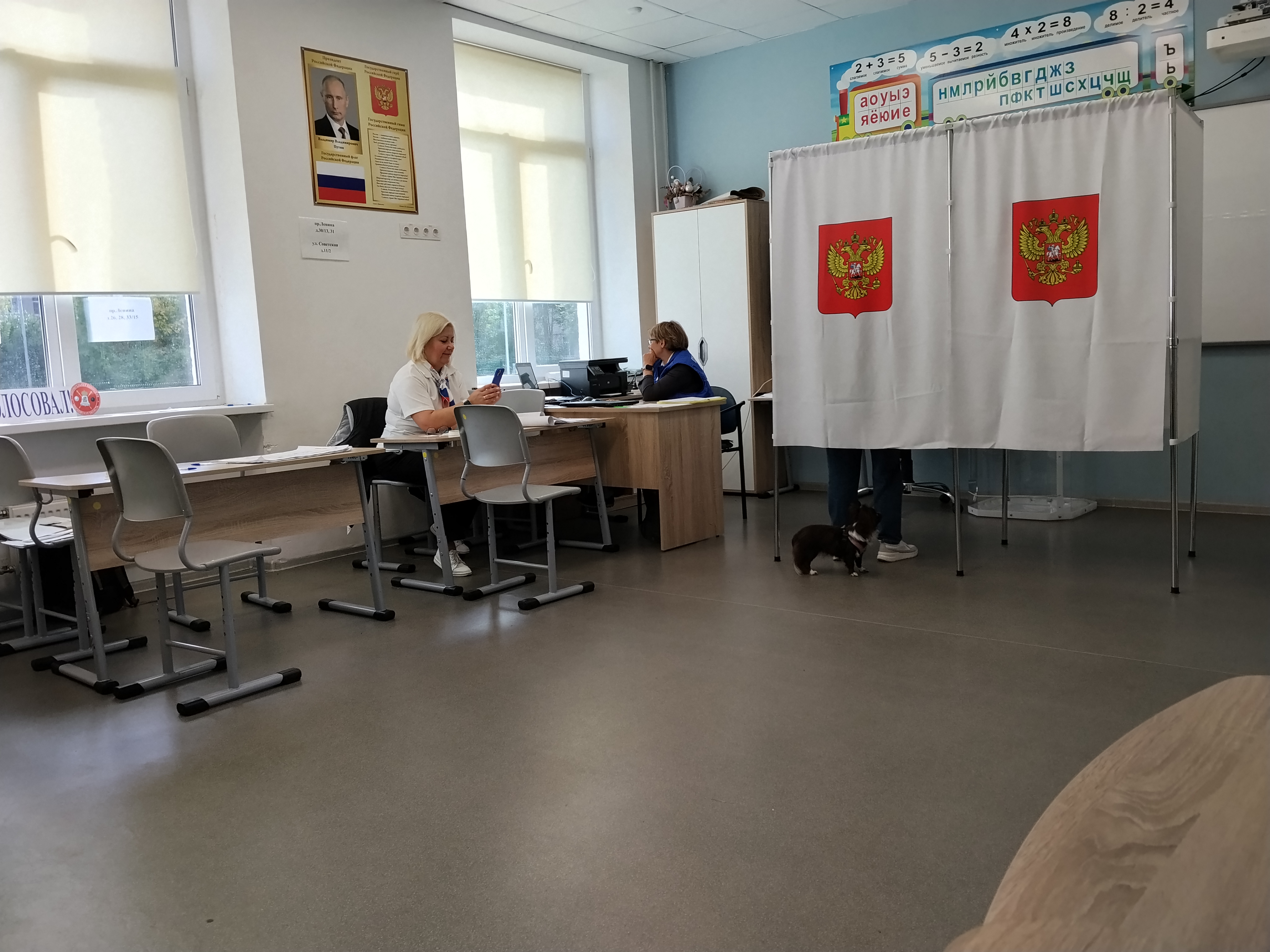 Сообщение — УИК №3553, Московская область