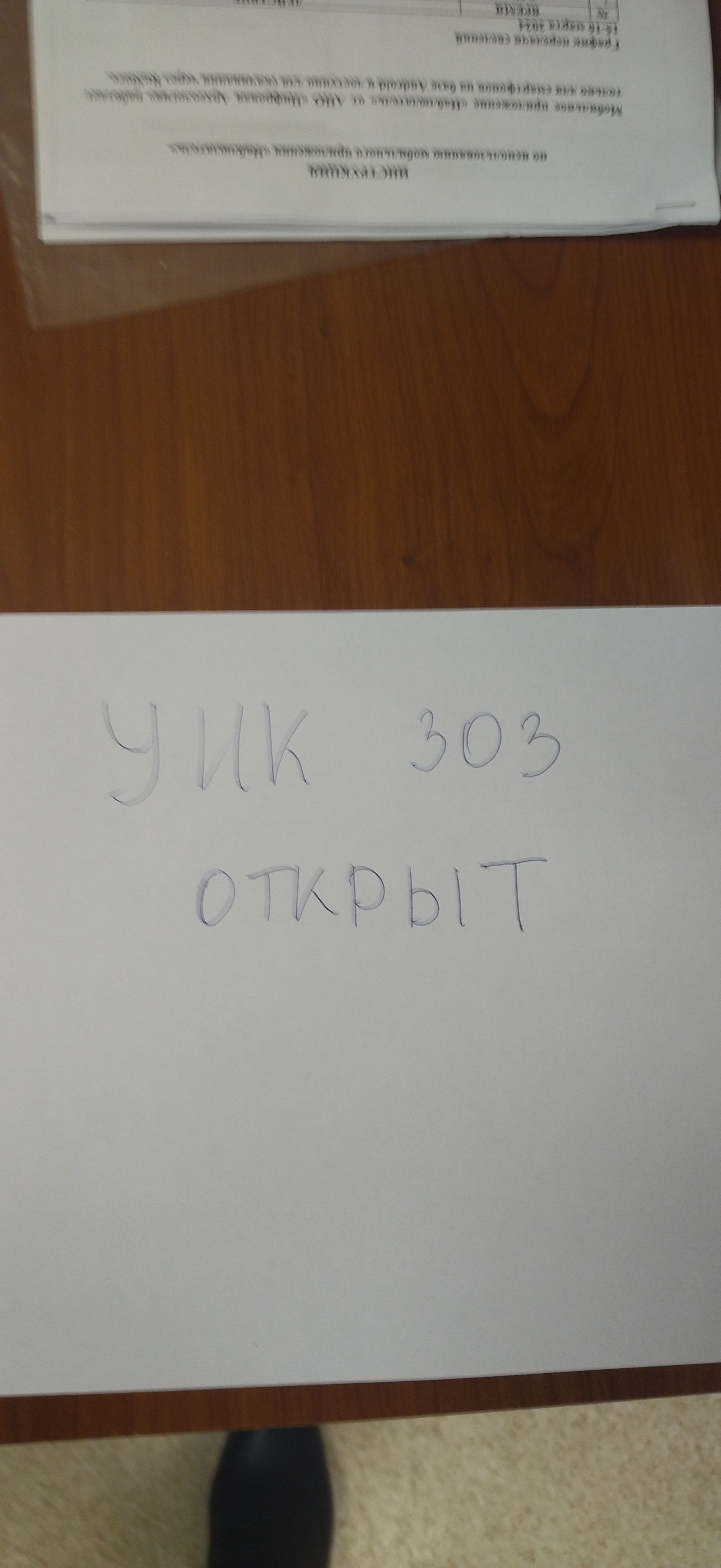 Сообщение наблюдателя — УИК №303, Томская область