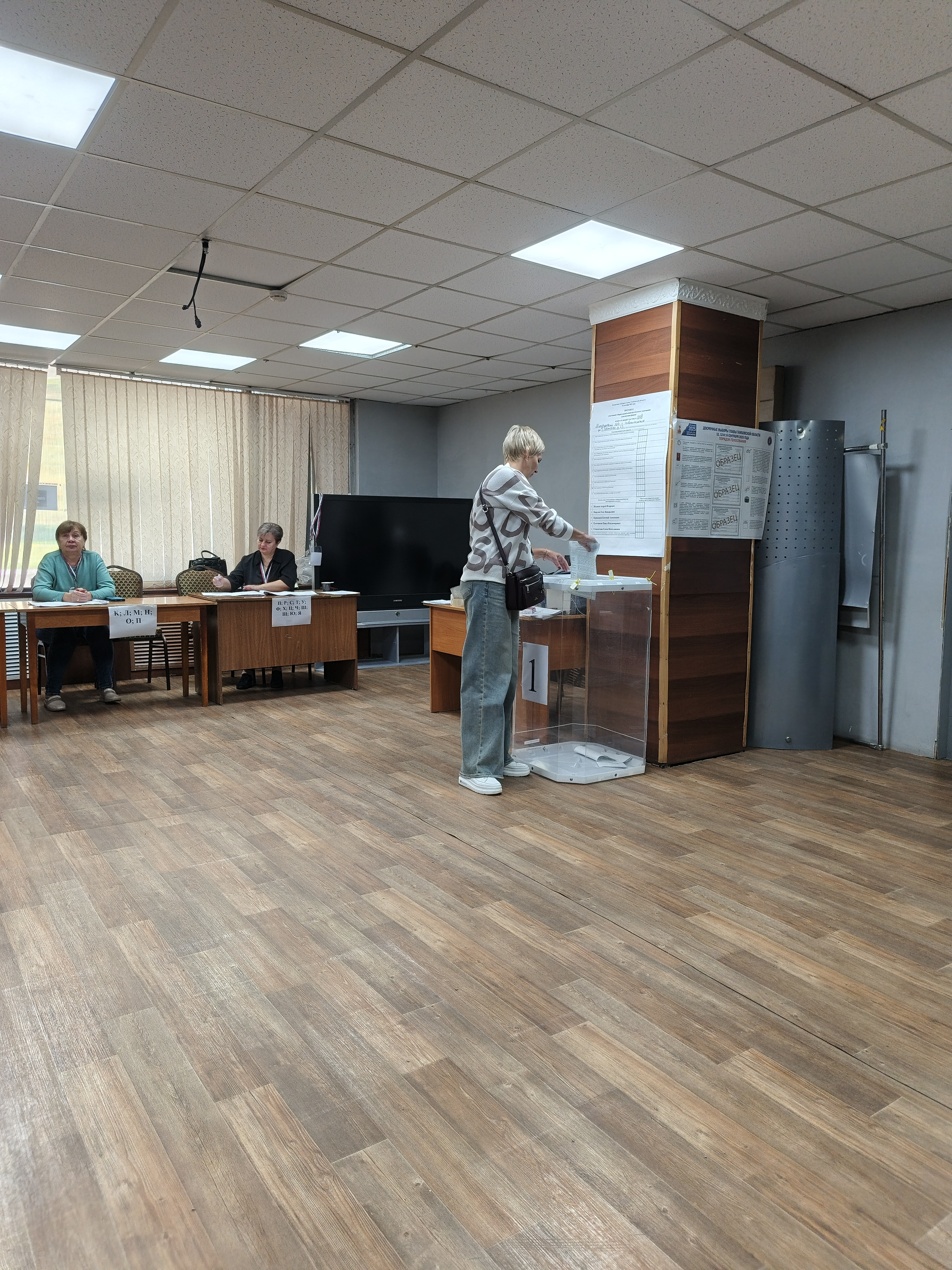 Сообщение наблюдателя — УИК №208, Тамбовская область