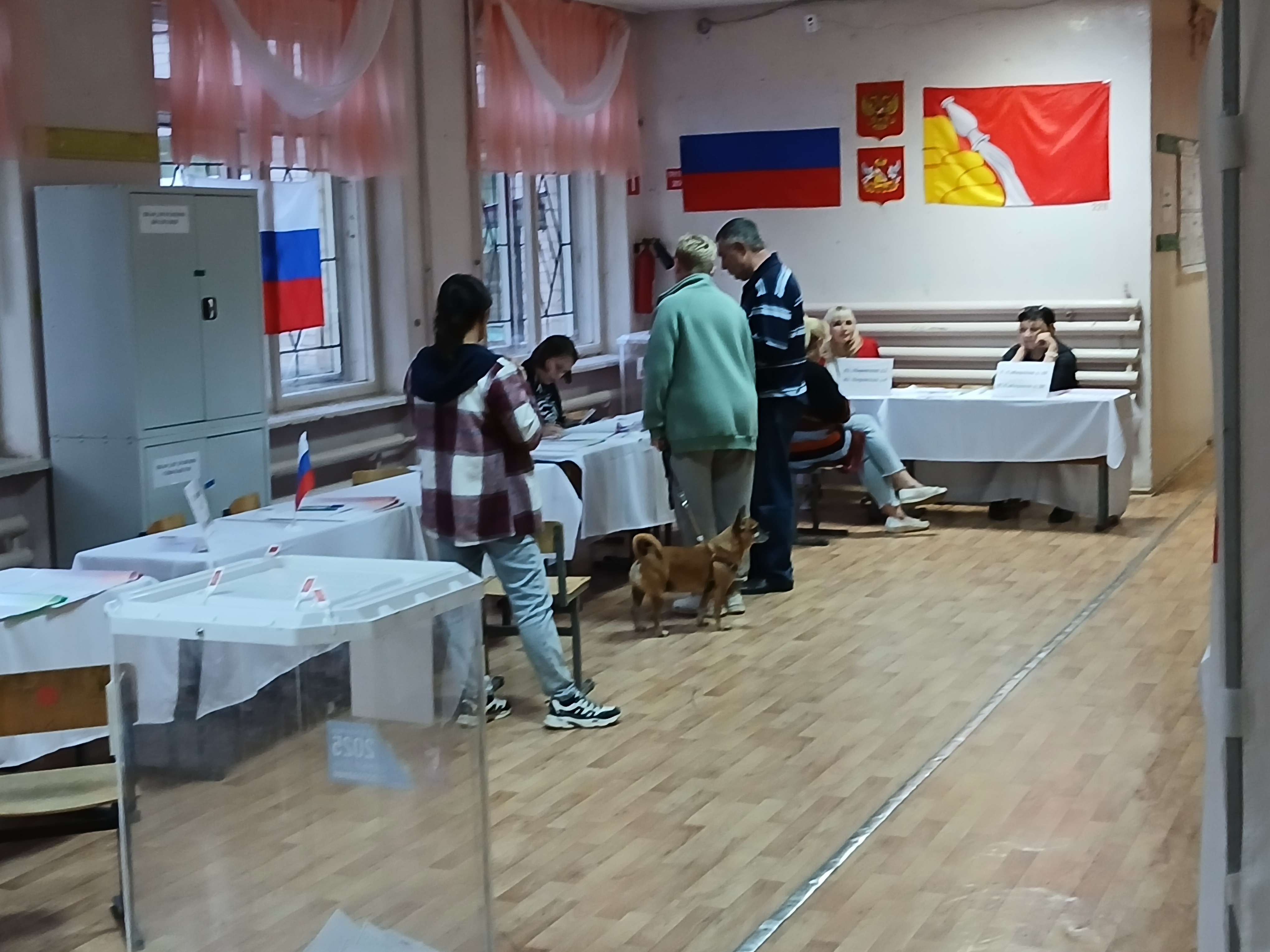 Сообщение наблюдателя — УИК №1335, Воронежская область