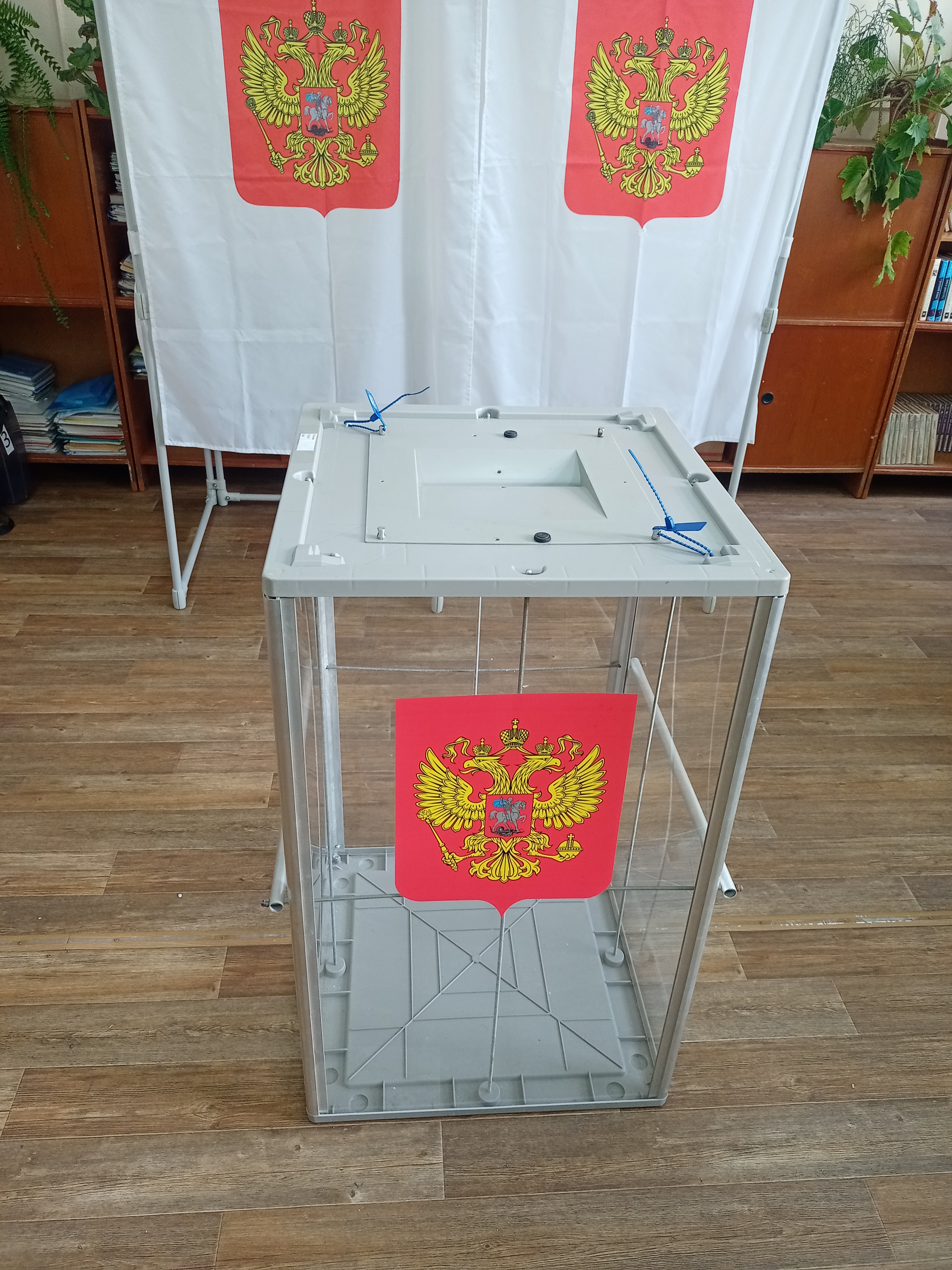 Сообщение — УИК №279, Ивановская область