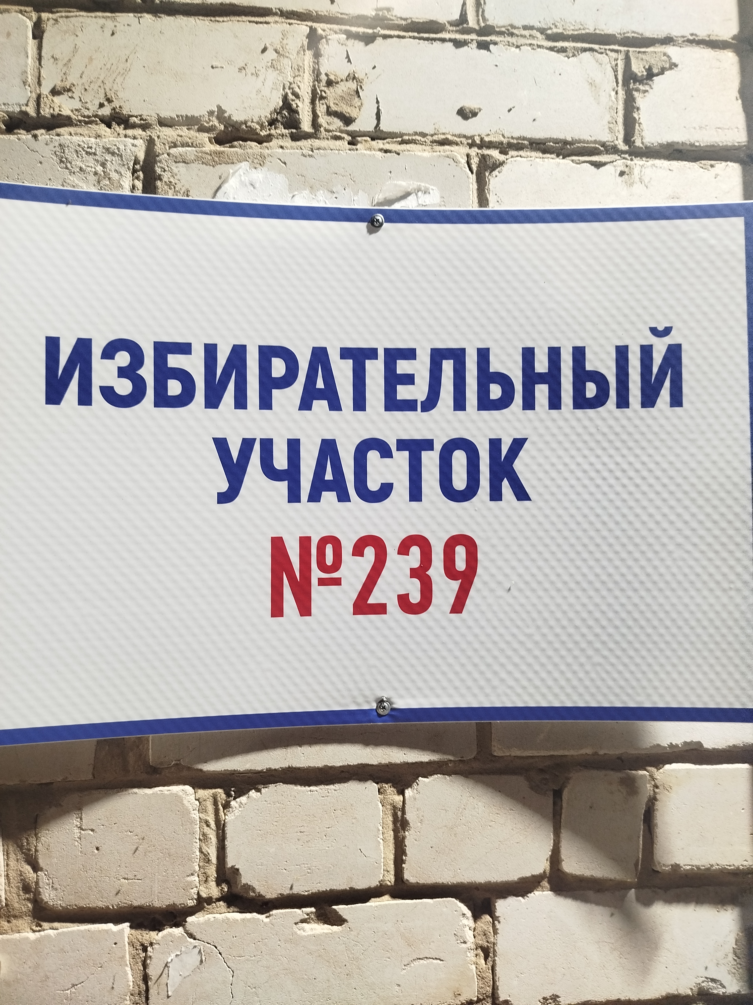 Сообщение — УИК №239, Архангельская область