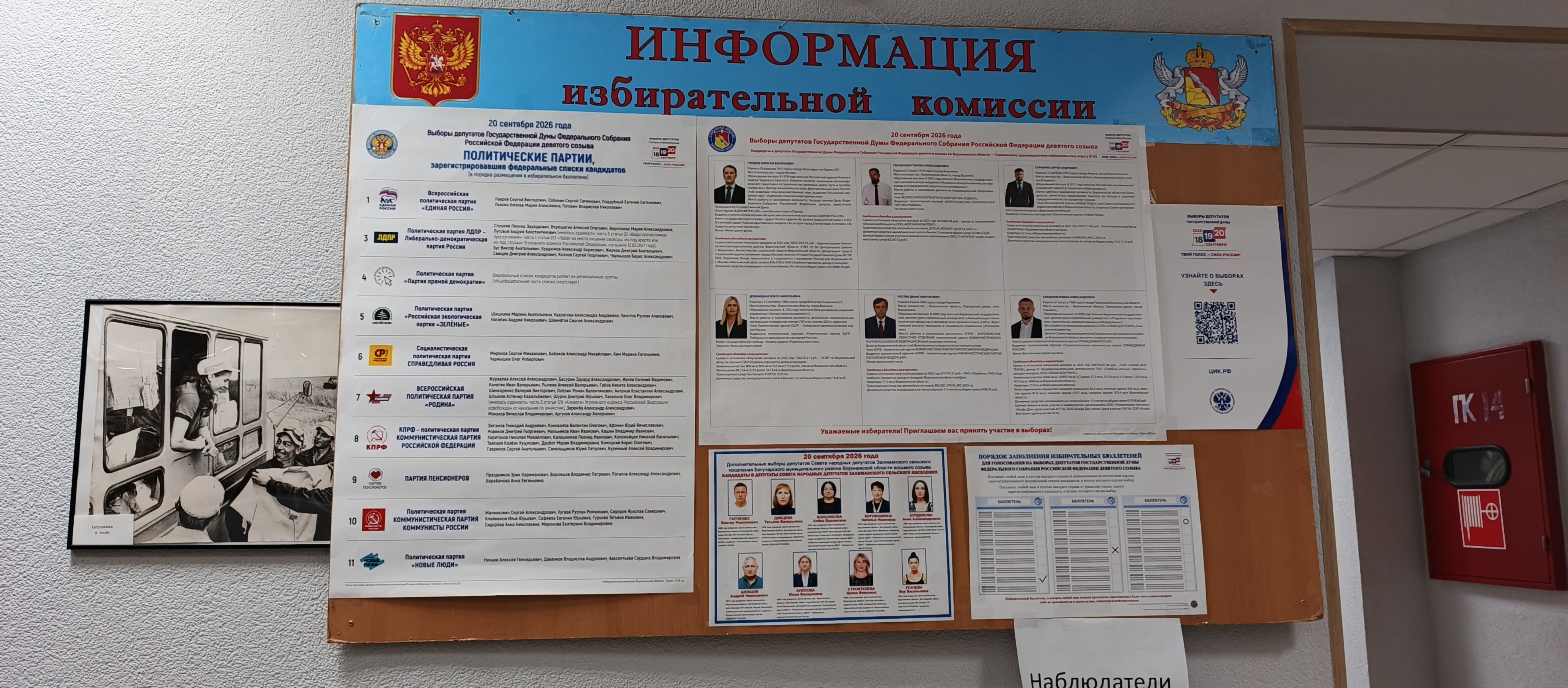 Сообщение — УИК №306, Воронежская область