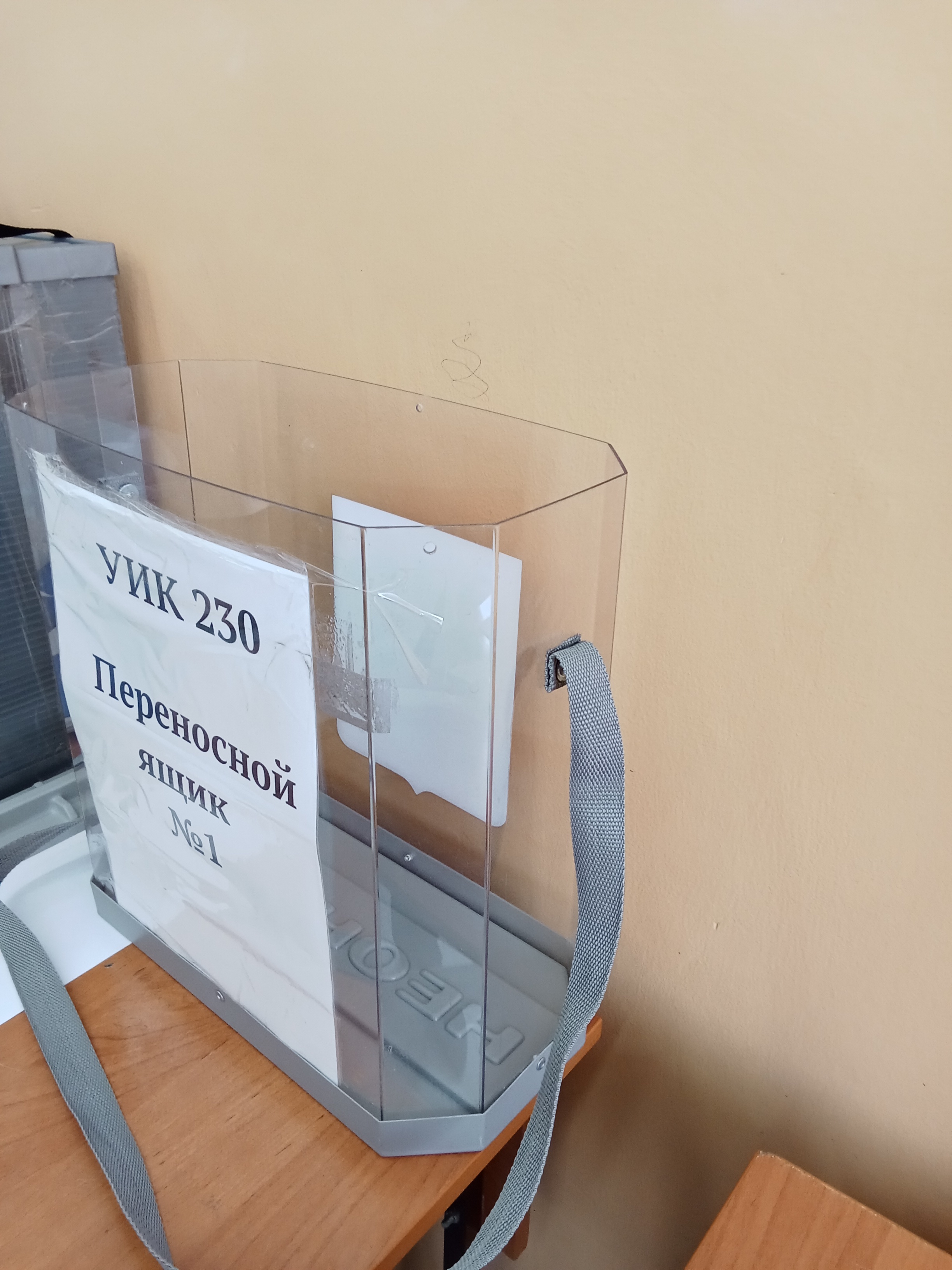 Сообщение наблюдателя — УИК №230, Алтайский край