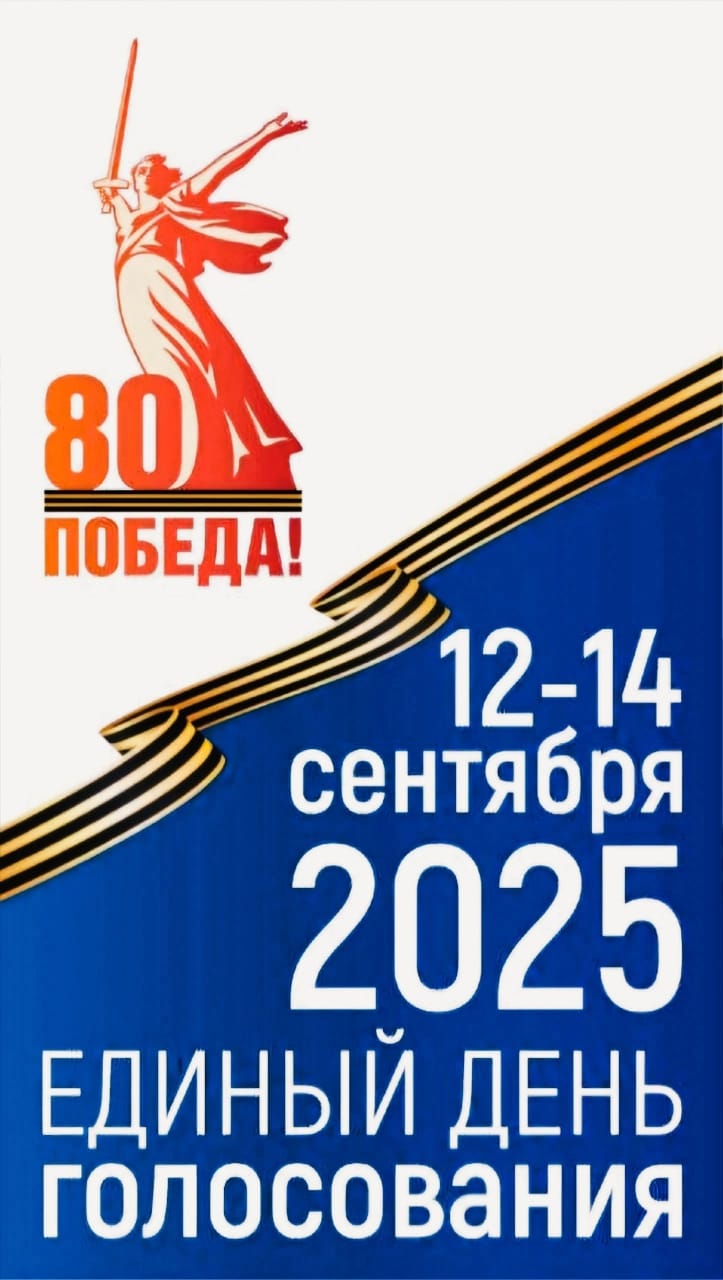 Сообщение наблюдателя — УИК №3119, Воронежская область