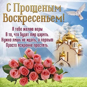 Сообщение наблюдателя — УИК №891, Новосибирская область