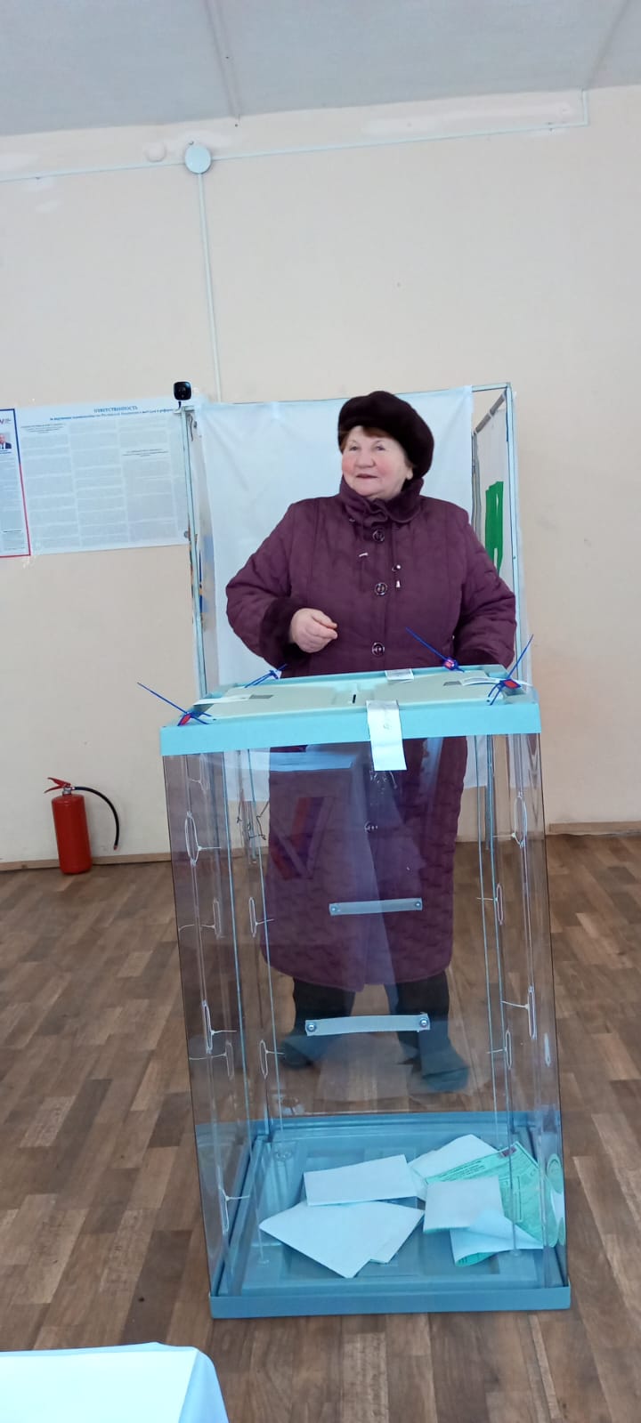 Сообщение наблюдателя — УИК №492, Брянская область
