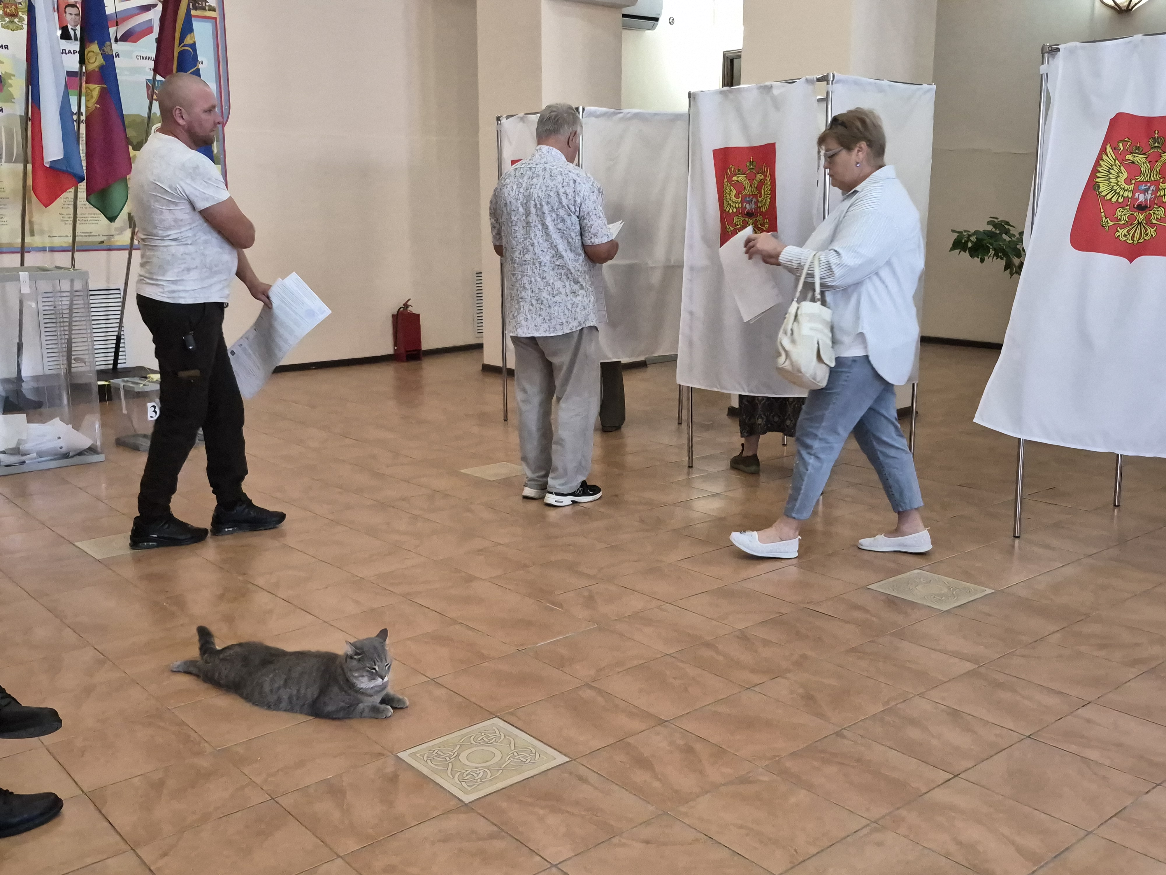 Сообщение — УИК №4934, Краснодарский край