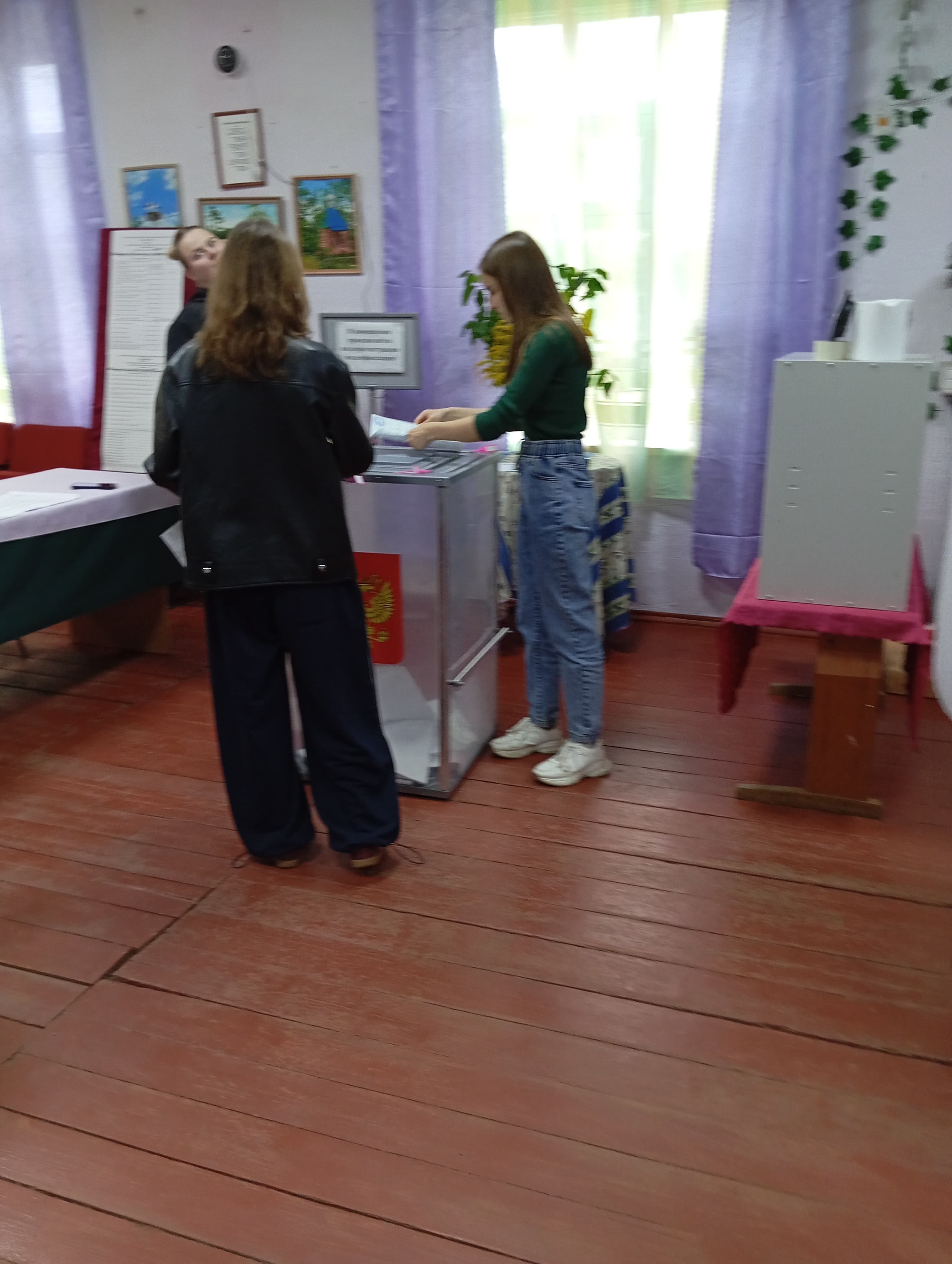 Сообщение наблюдателя — УИК №2205, Новгородская область