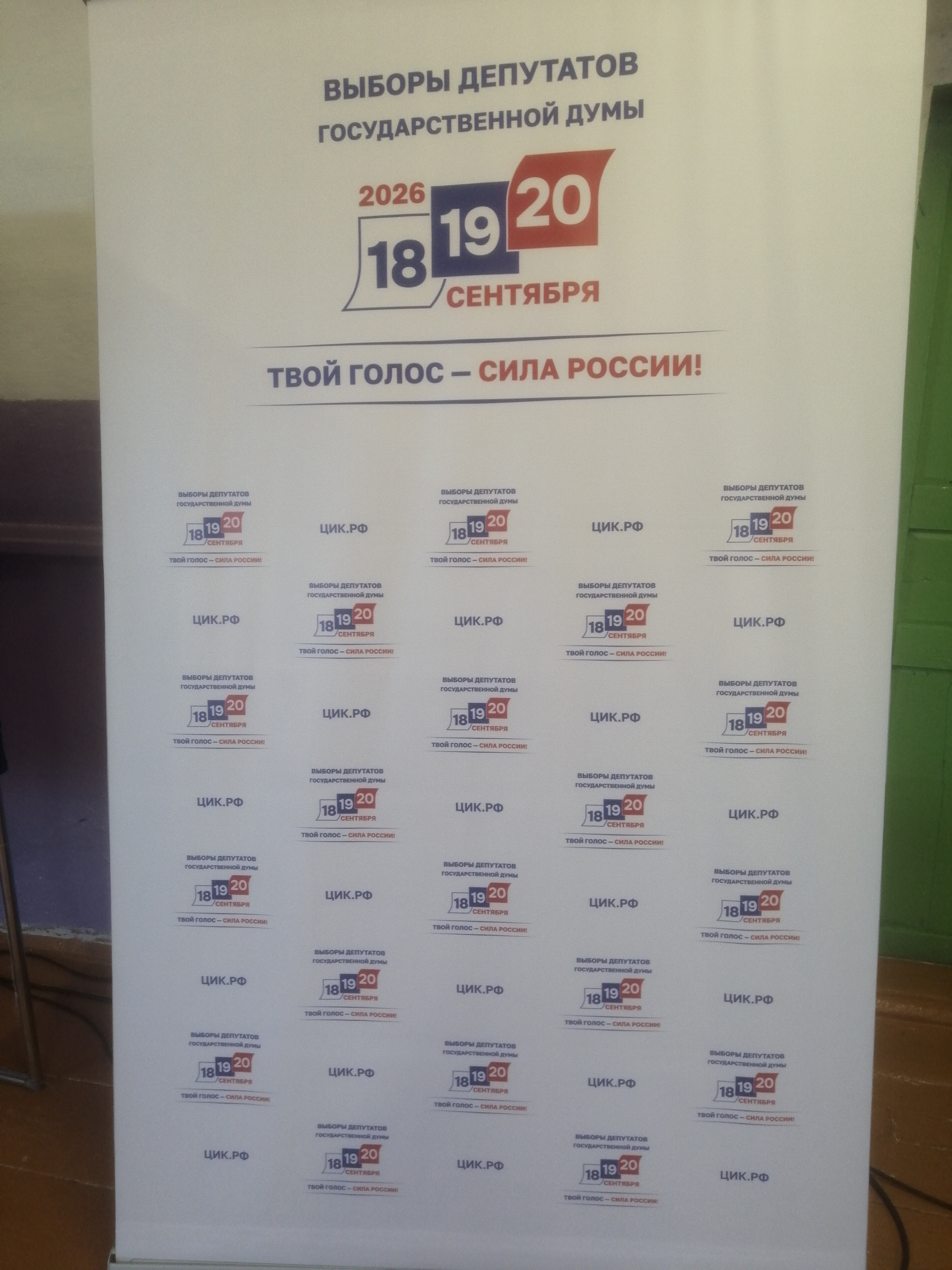 Сообщение — УИК №545, Курганская область