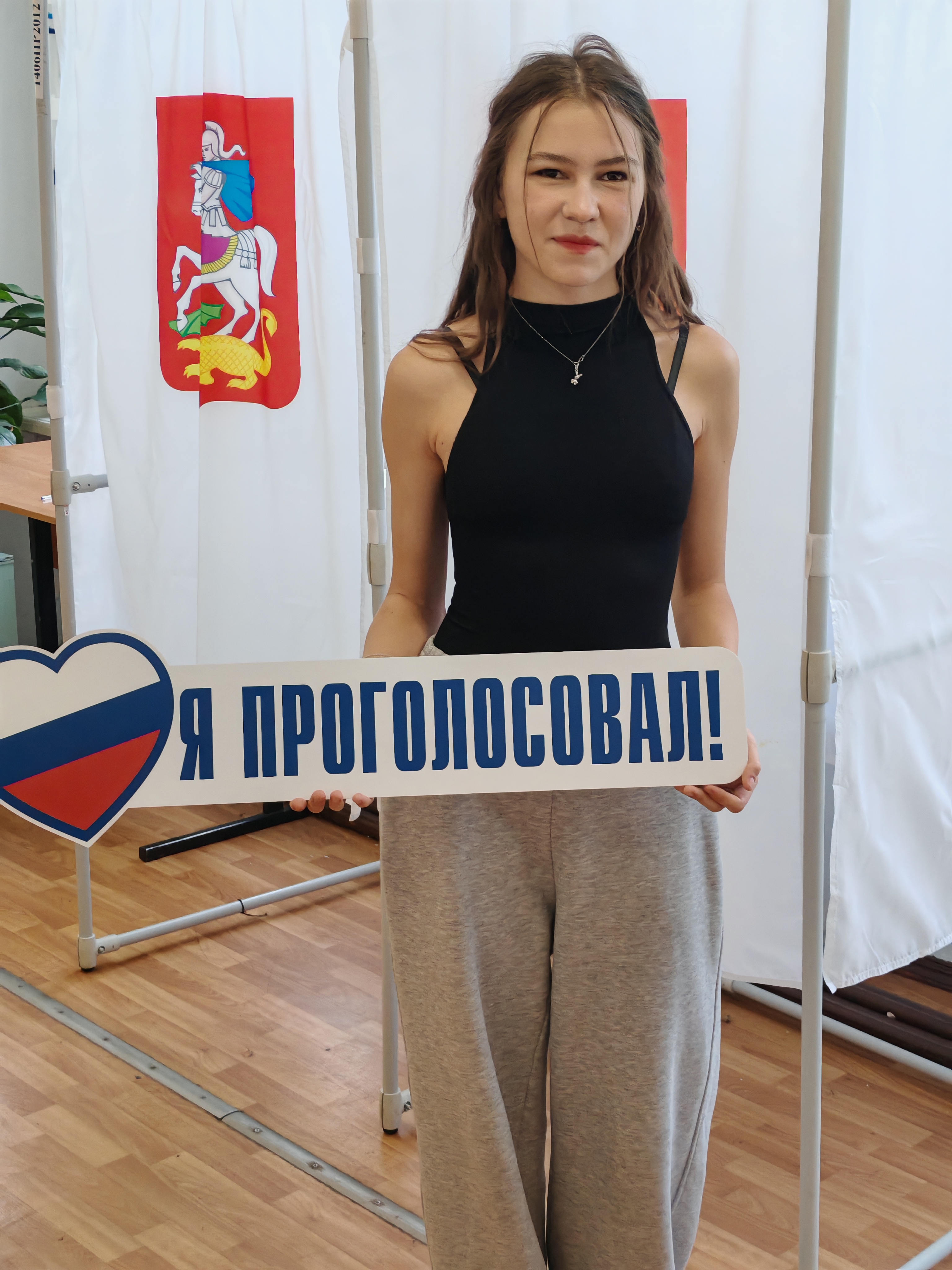 Сообщение — УИК №508, Московская область