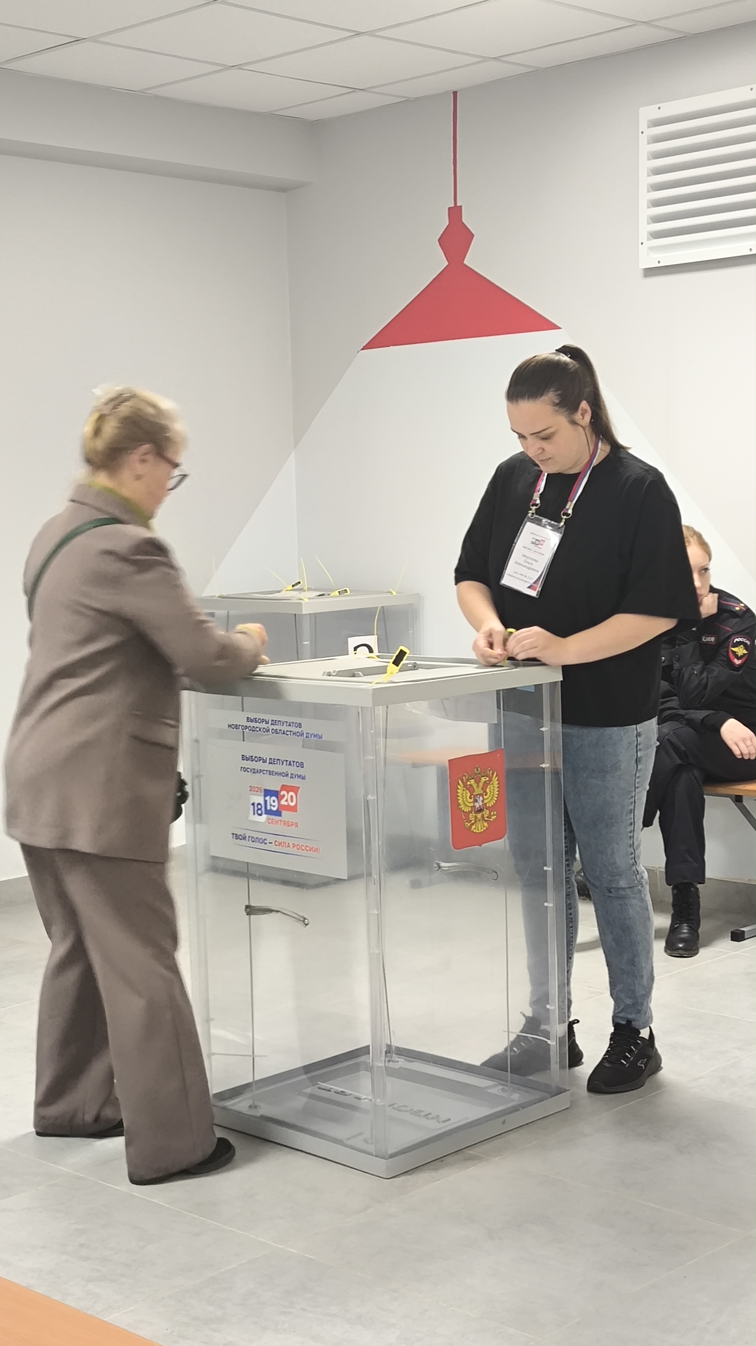 Сообщение — УИК №1117, Новгородская область