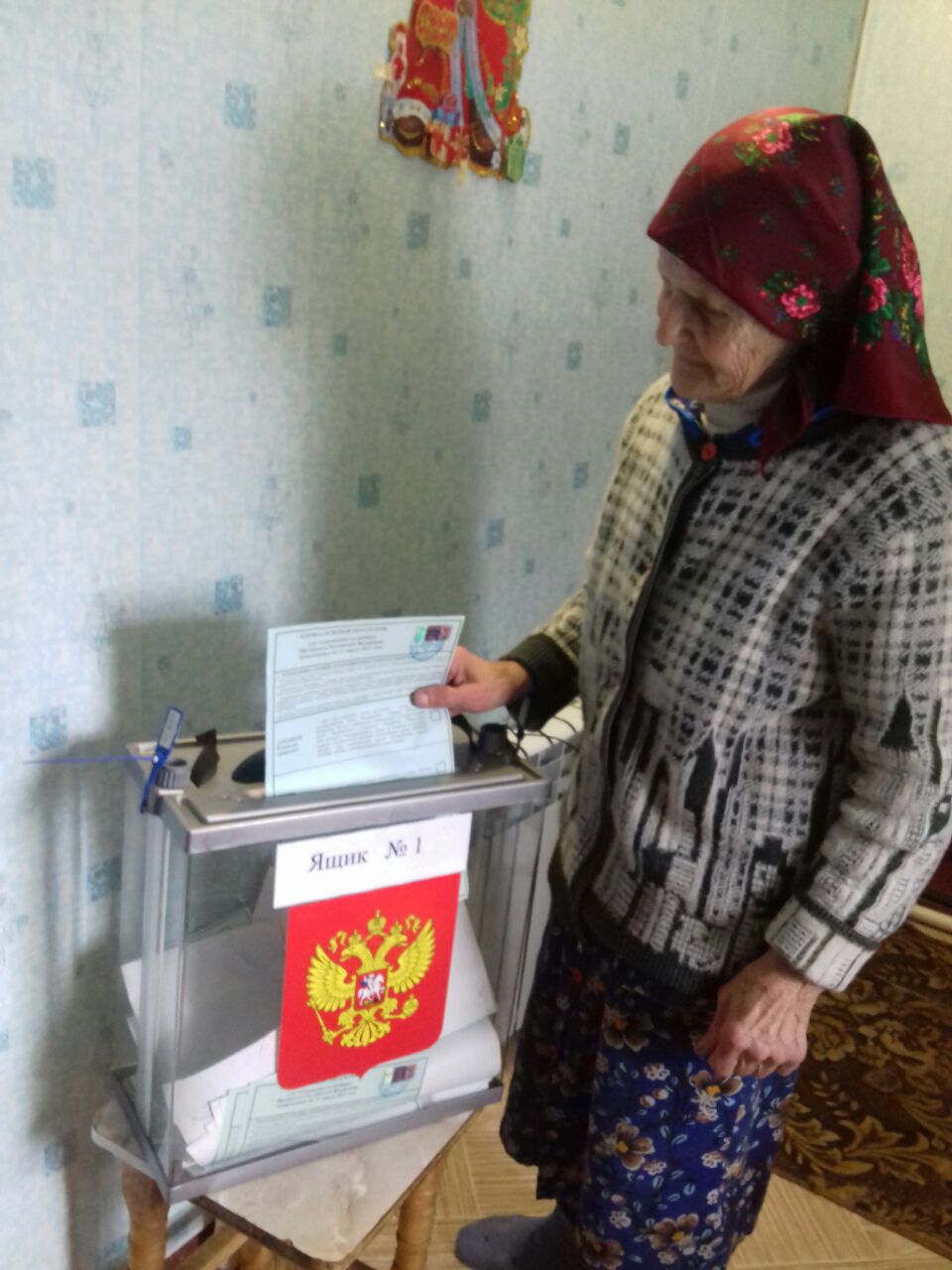 Сообщение наблюдателя — УИК №376, Брянская область
