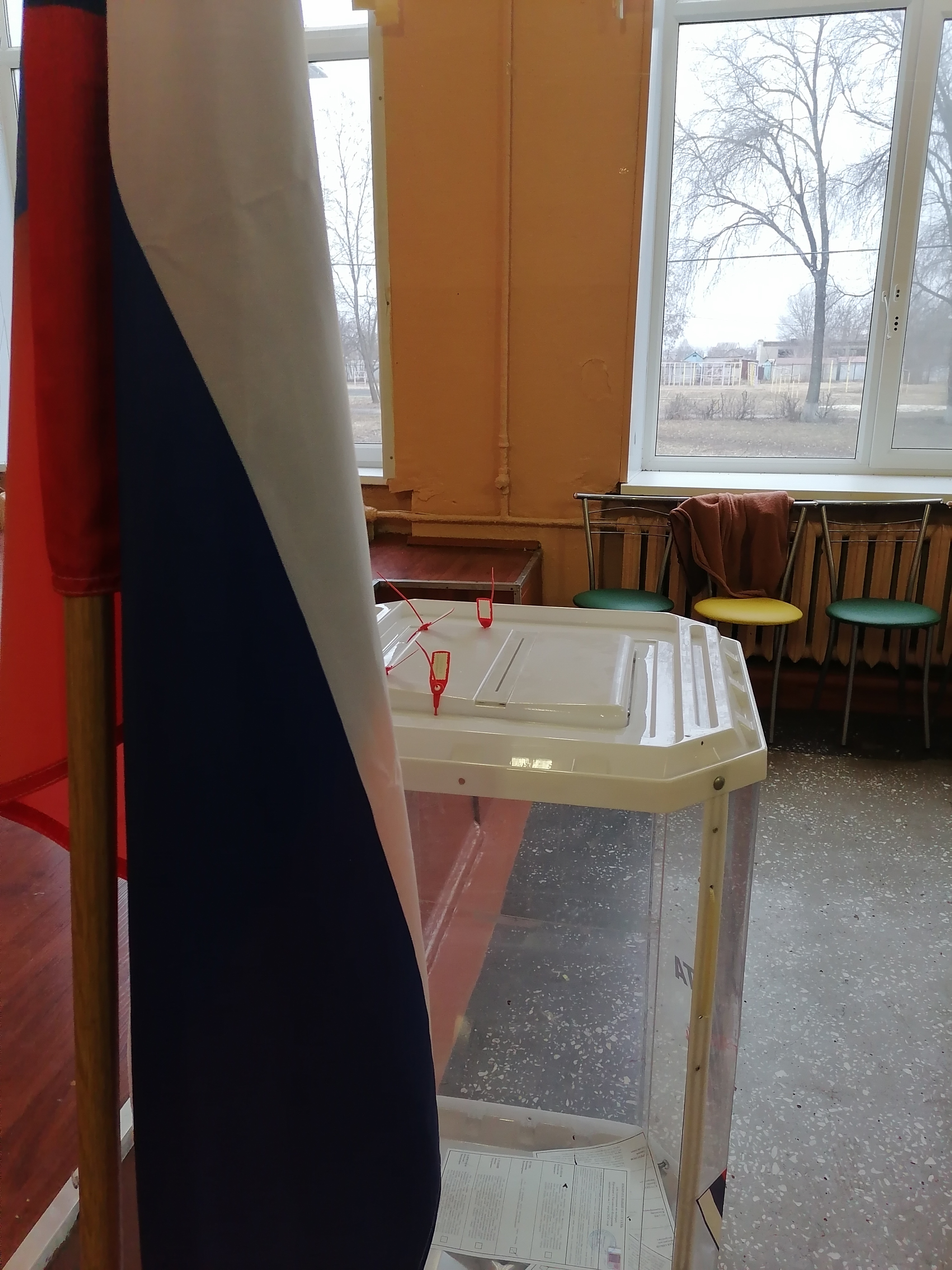 Сообщение наблюдателя — УИК №184, Белгородская область