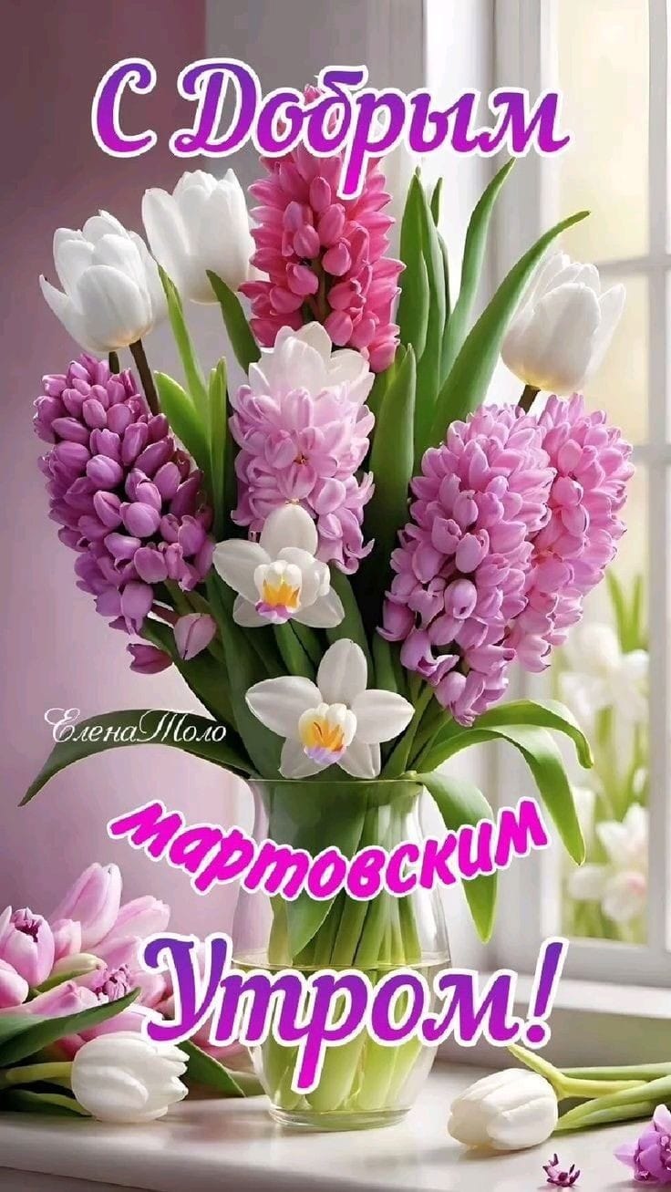 Сообщение наблюдателя — УИК №424, Ленинградская область