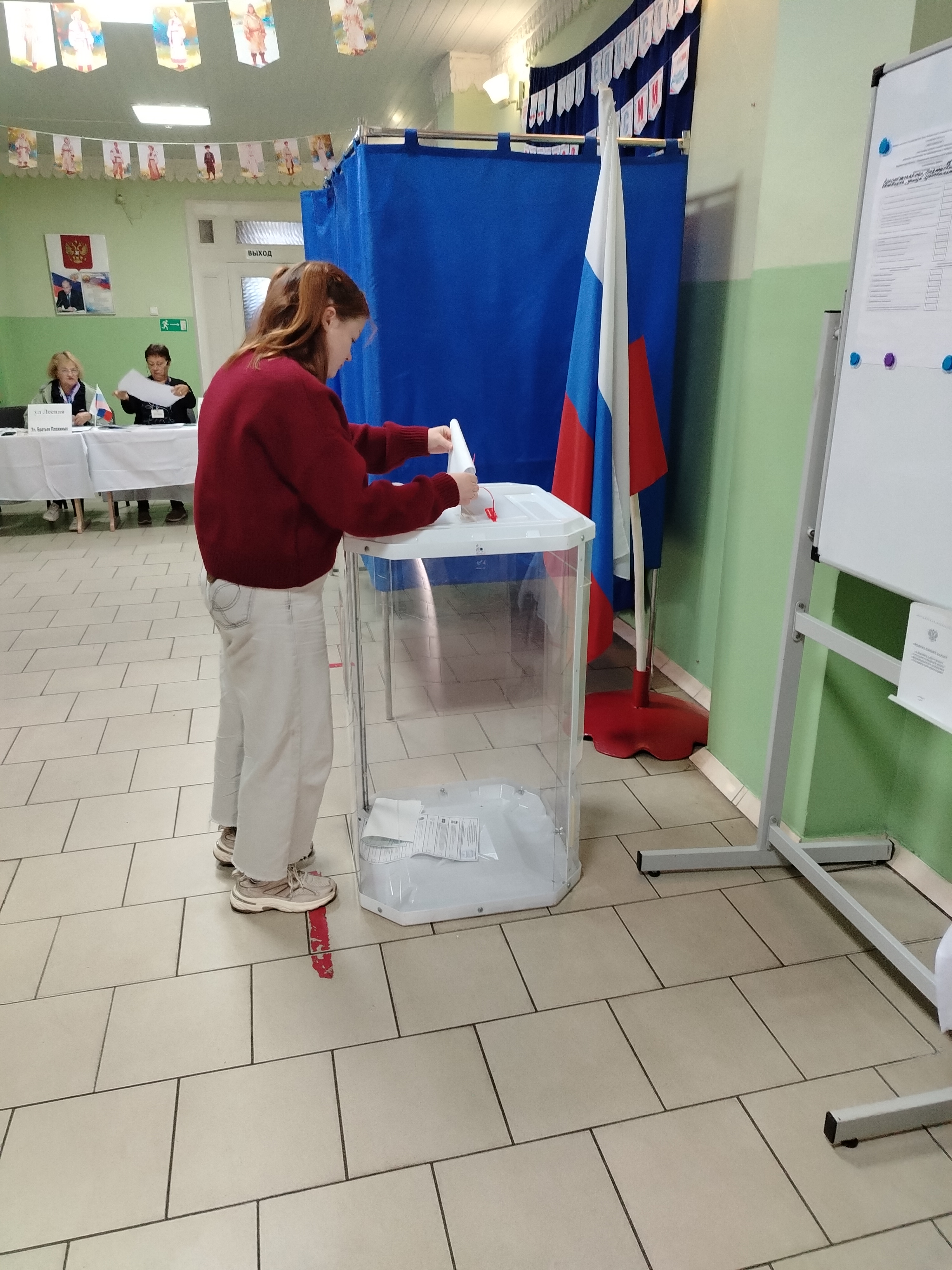 Сообщение — УИК №2715, Воронежская область
