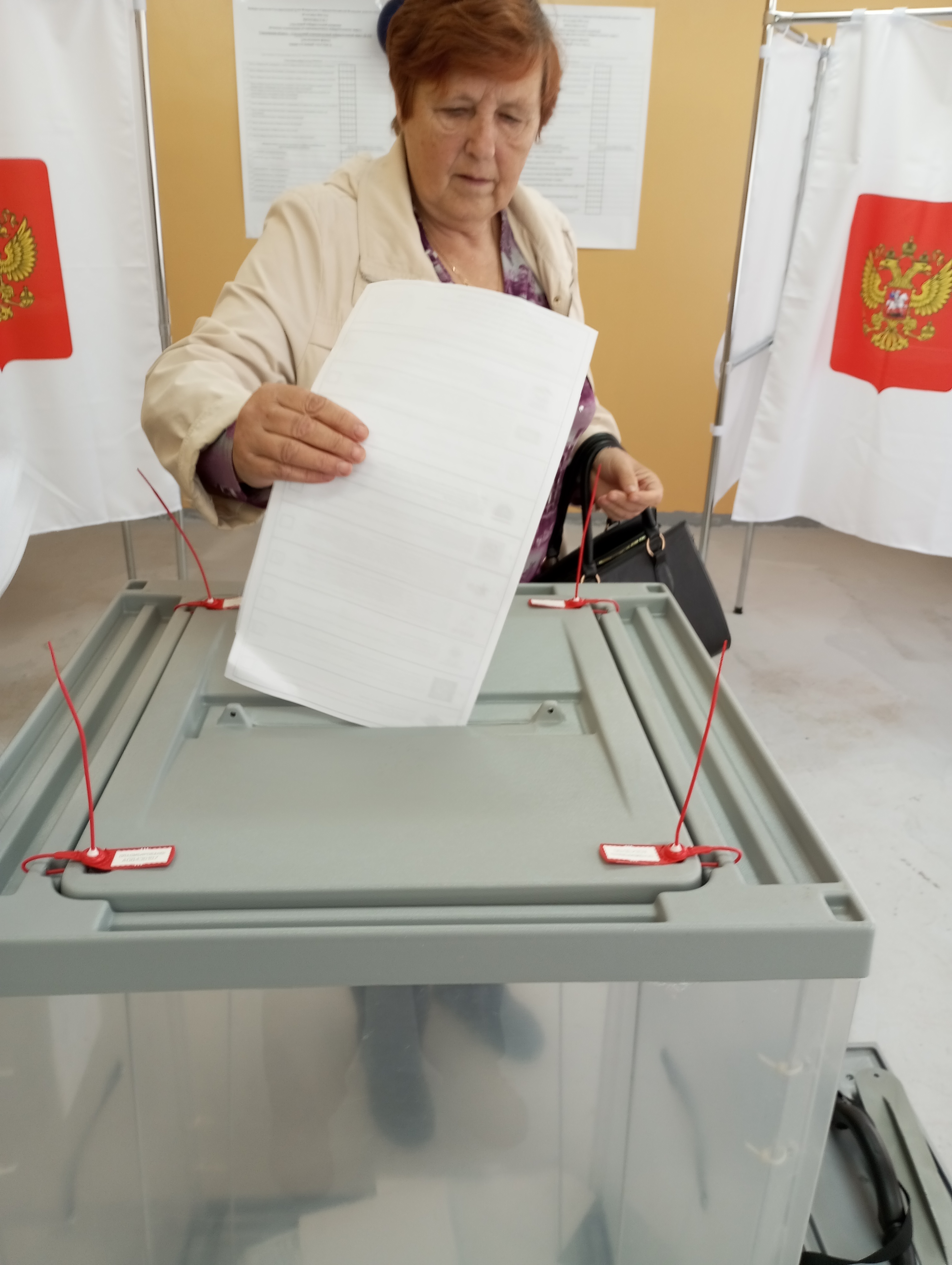 Сообщение — УИК №448, Смоленская область