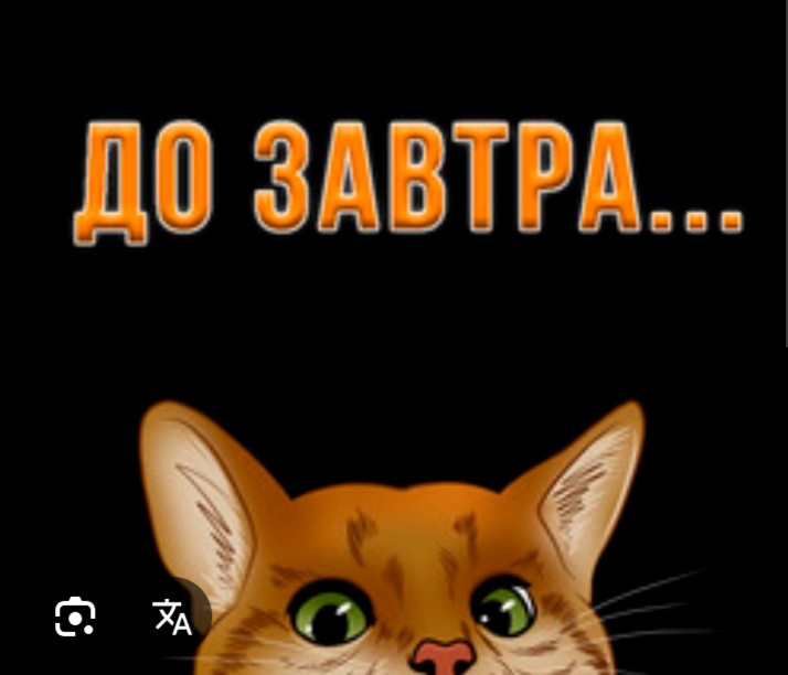 Сообщение наблюдателя — УИК №2460, Липецкая область