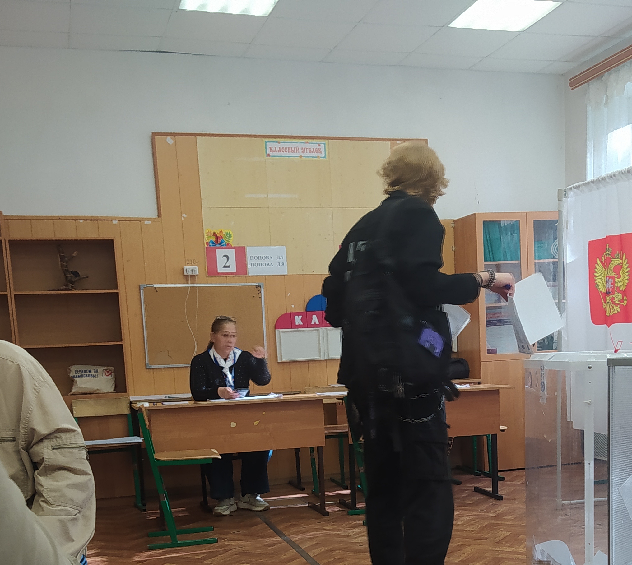 Сообщение — УИК №3838, Московская область