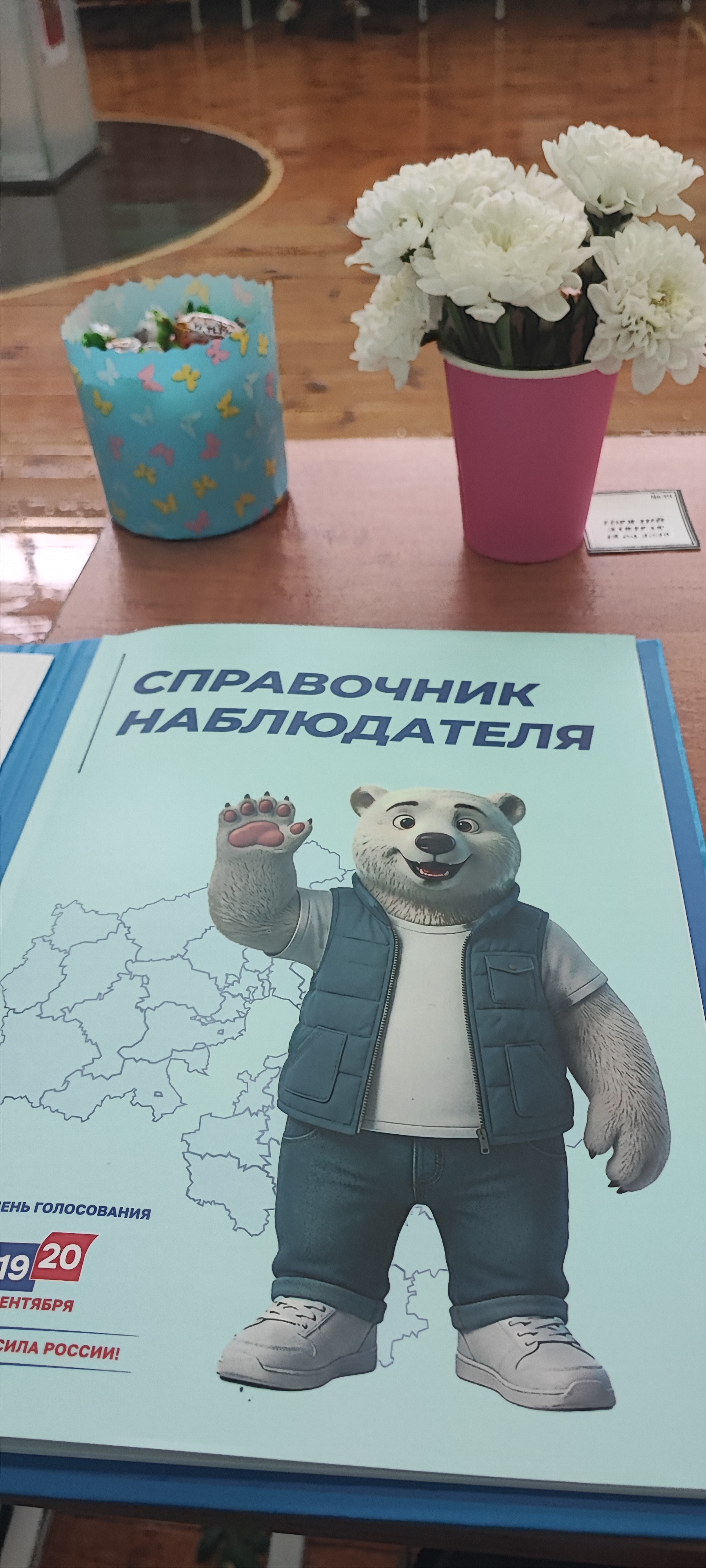 Сообщение — УИК №1566, Московская область