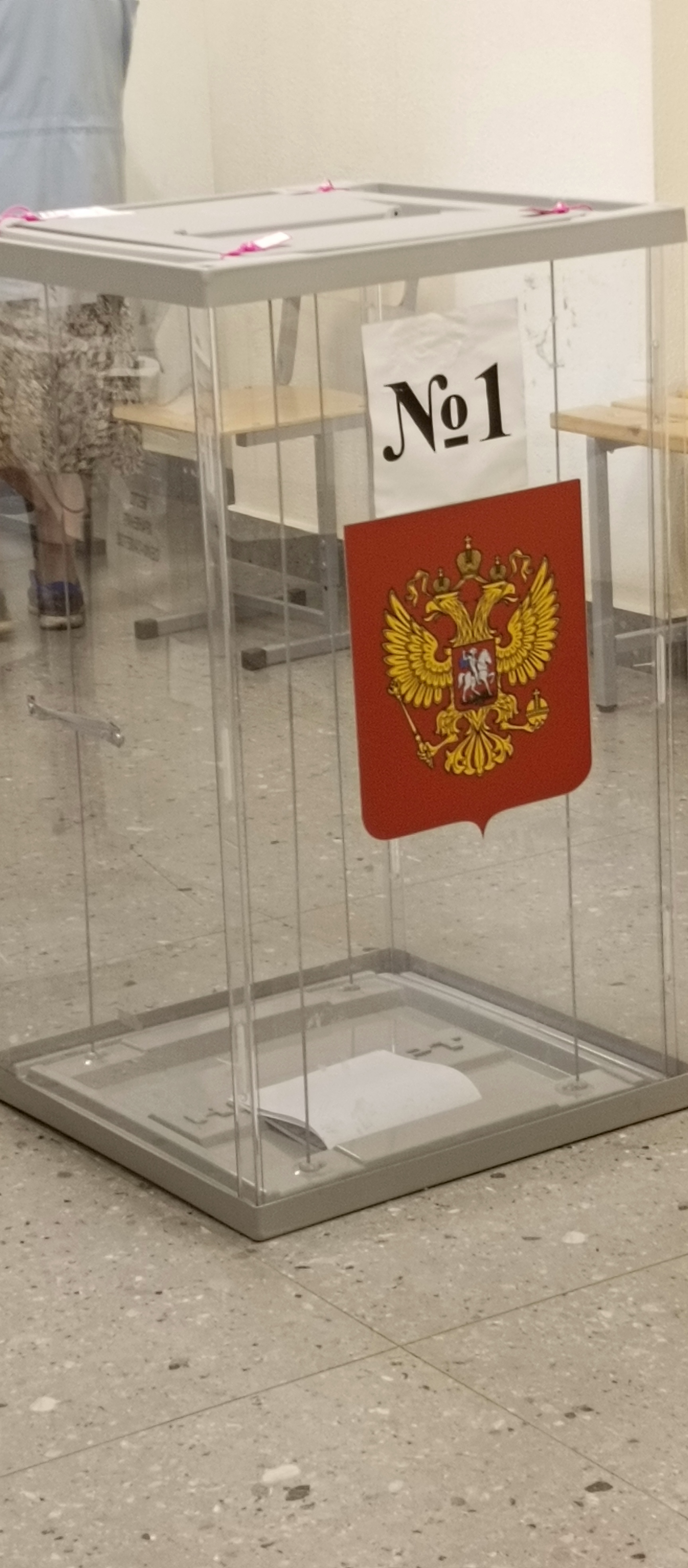 Сообщение наблюдателя — УИК №226, Новгородская область