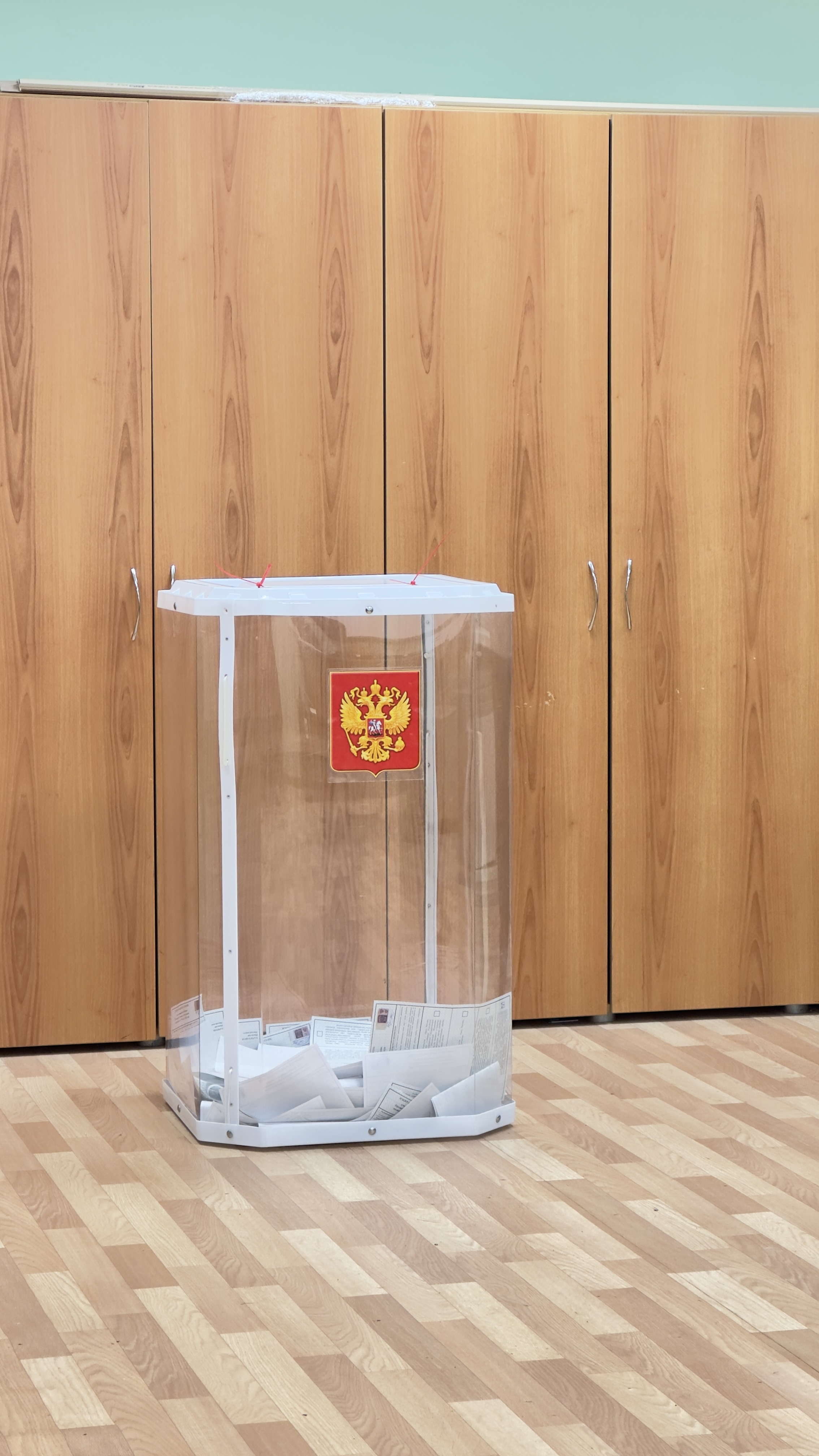 Сообщение наблюдателя — УИК №1177, Нижегородская область