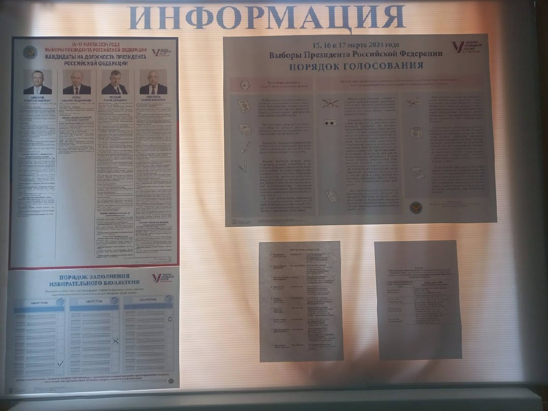Сообщение наблюдателя — УИК №733, Белгородская область