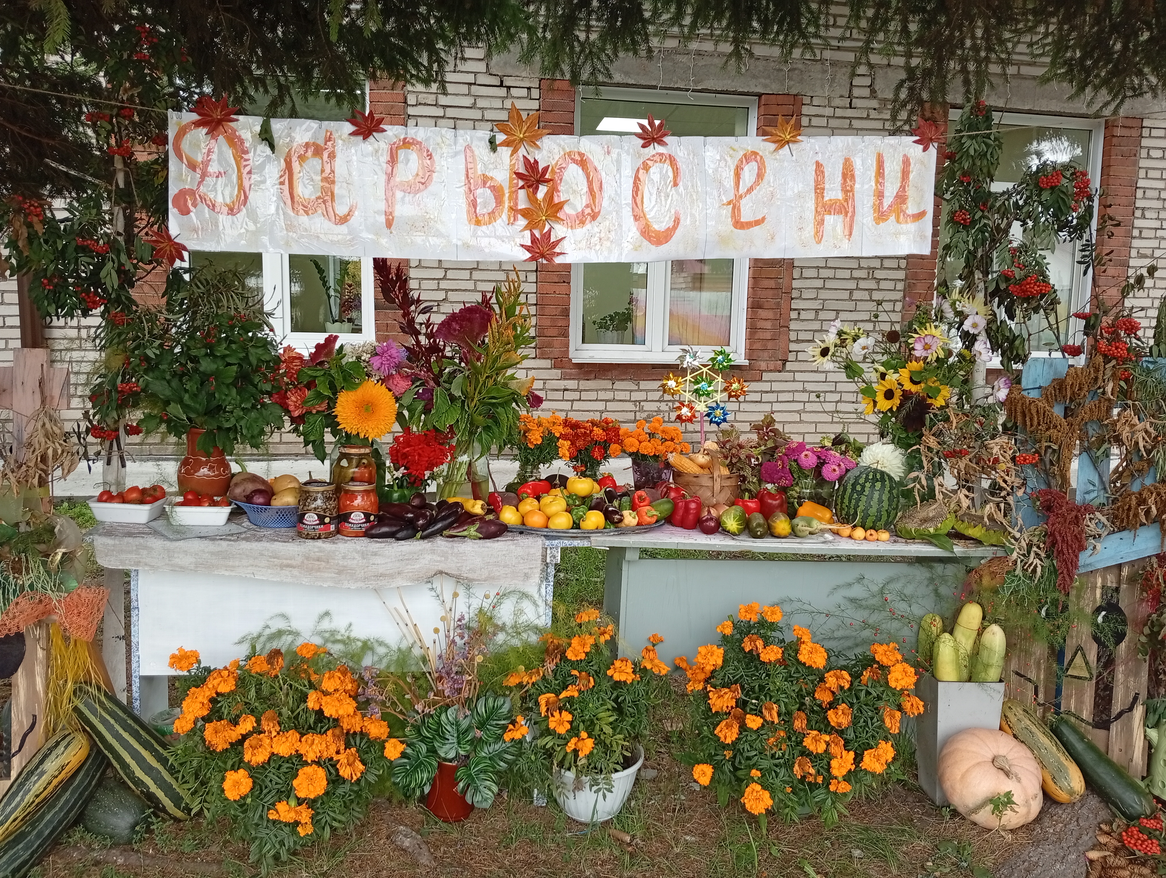 Сообщение — УИК №795, Новосибирская область