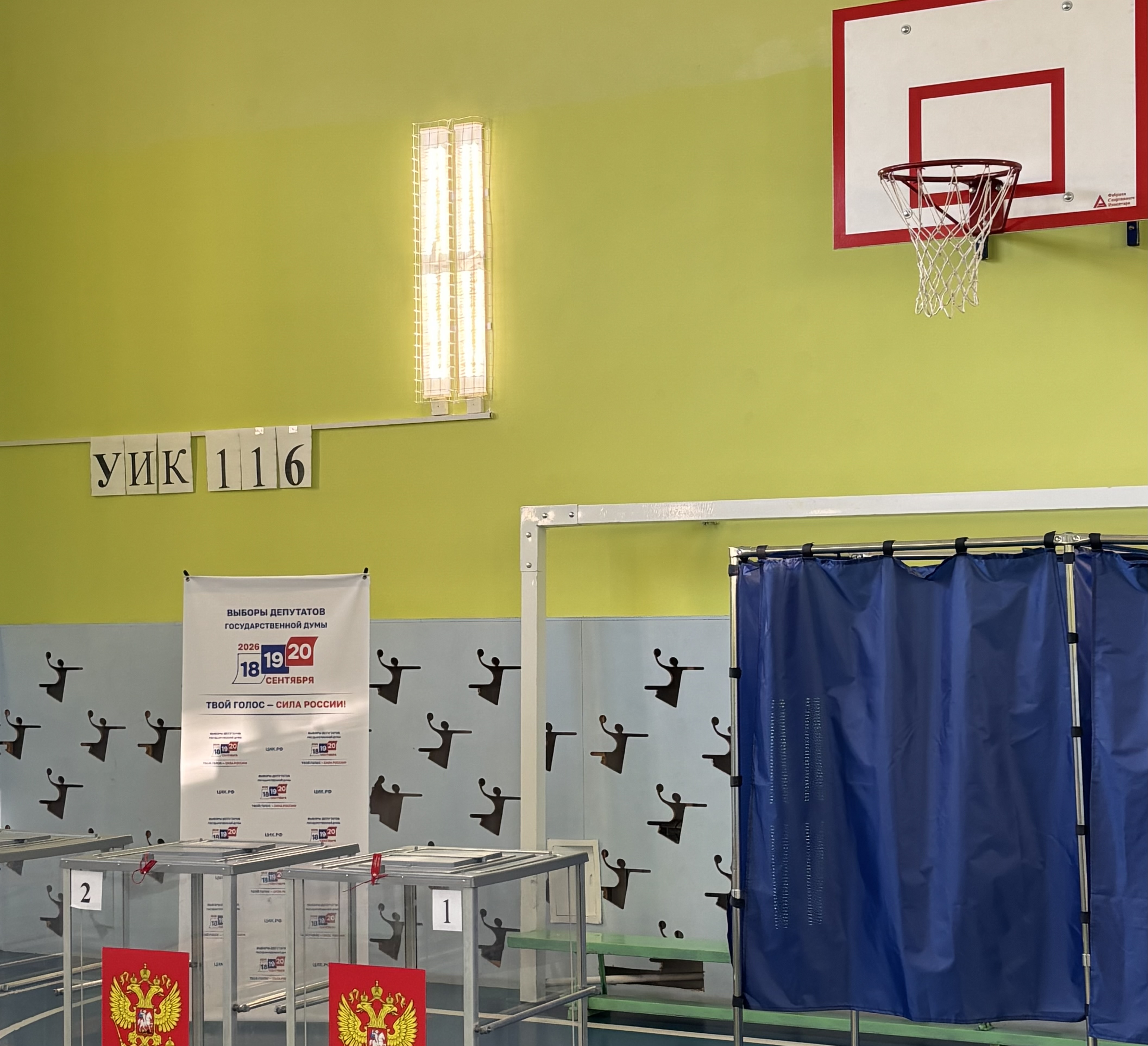 Сообщение — УИК №116, Саратовская область
