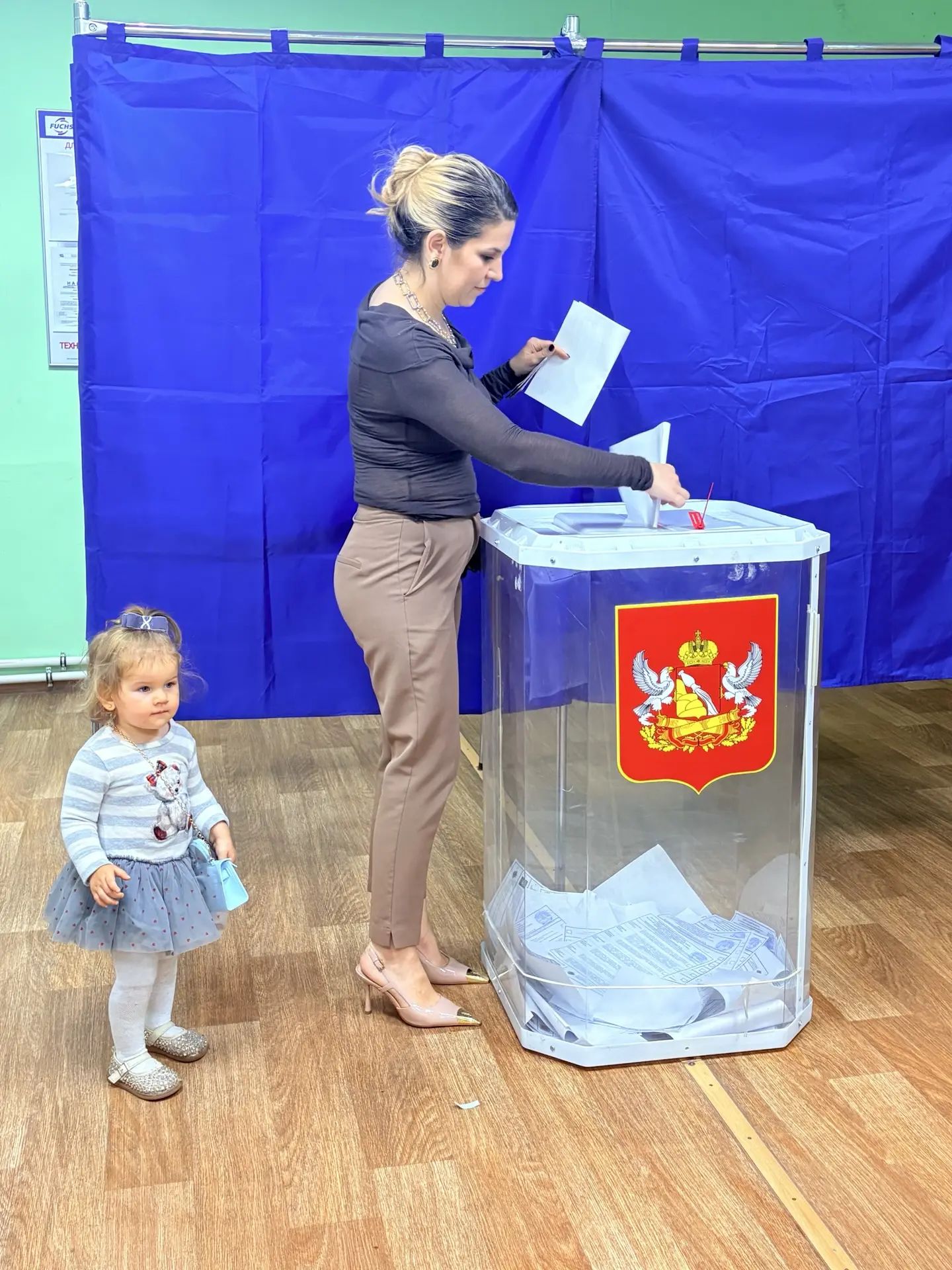 Сообщение — УИК №3808, Воронежская область