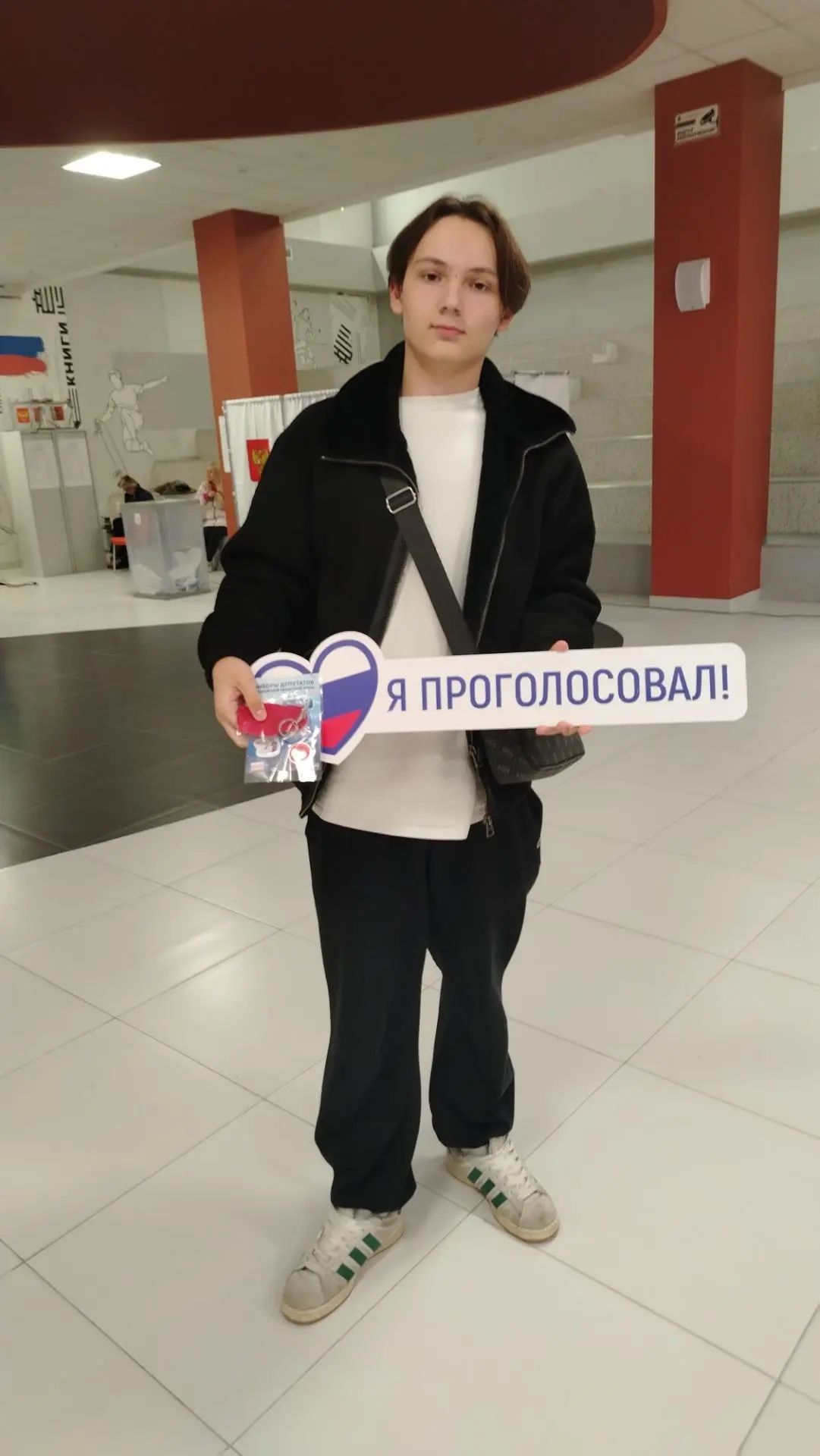 Сообщение — УИК №1291, Московская область