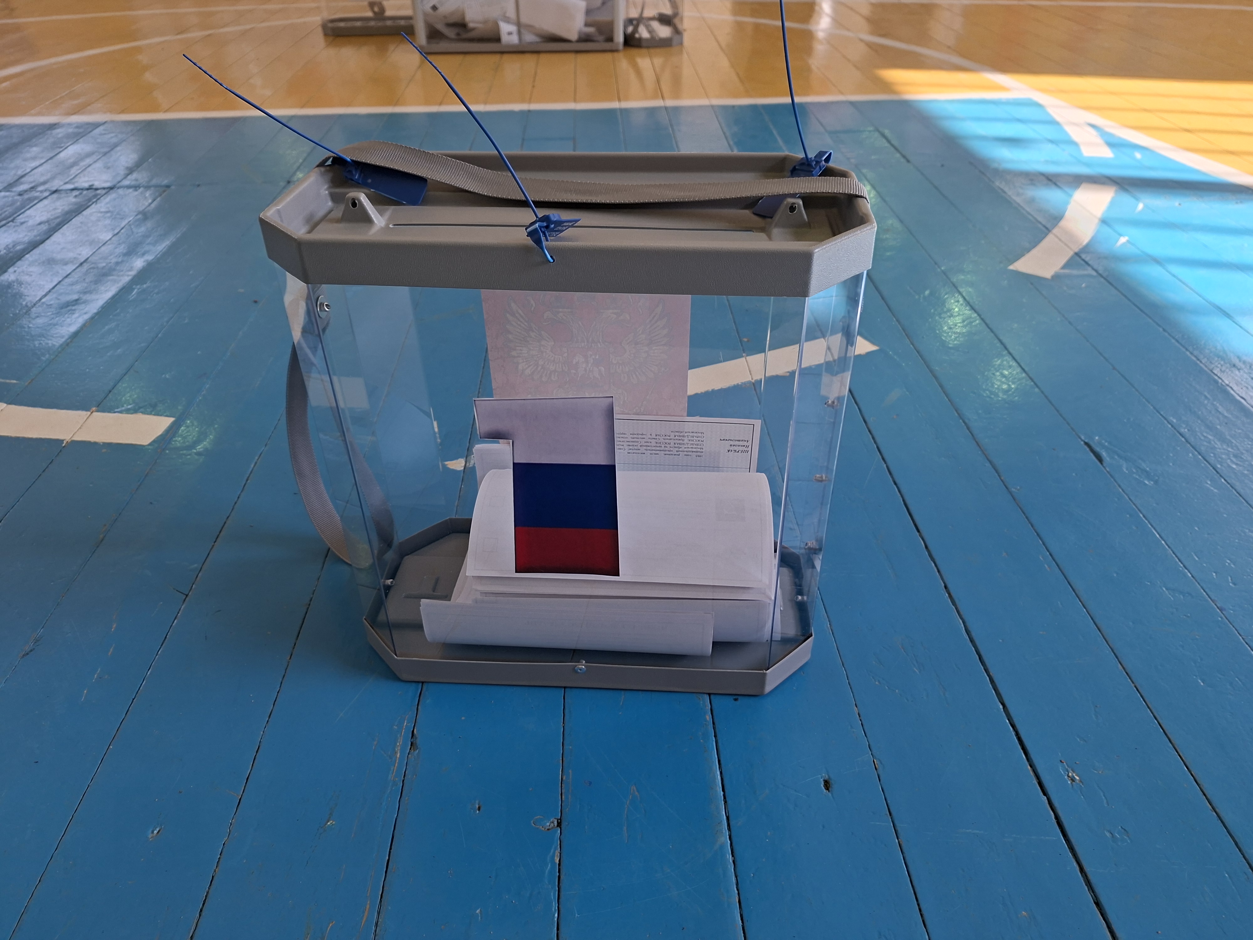 Сообщение — УИК №1354, Московская область