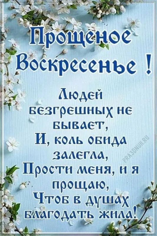 Сообщение наблюдателя — УИК №2312, Московская область