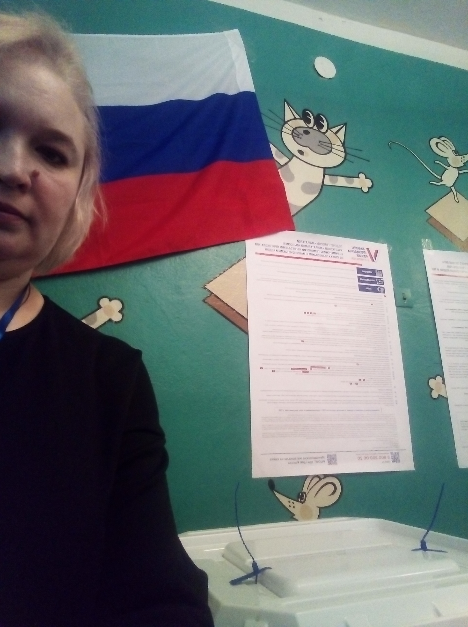 Сообщение наблюдателя — УИК №850, Челябинская область