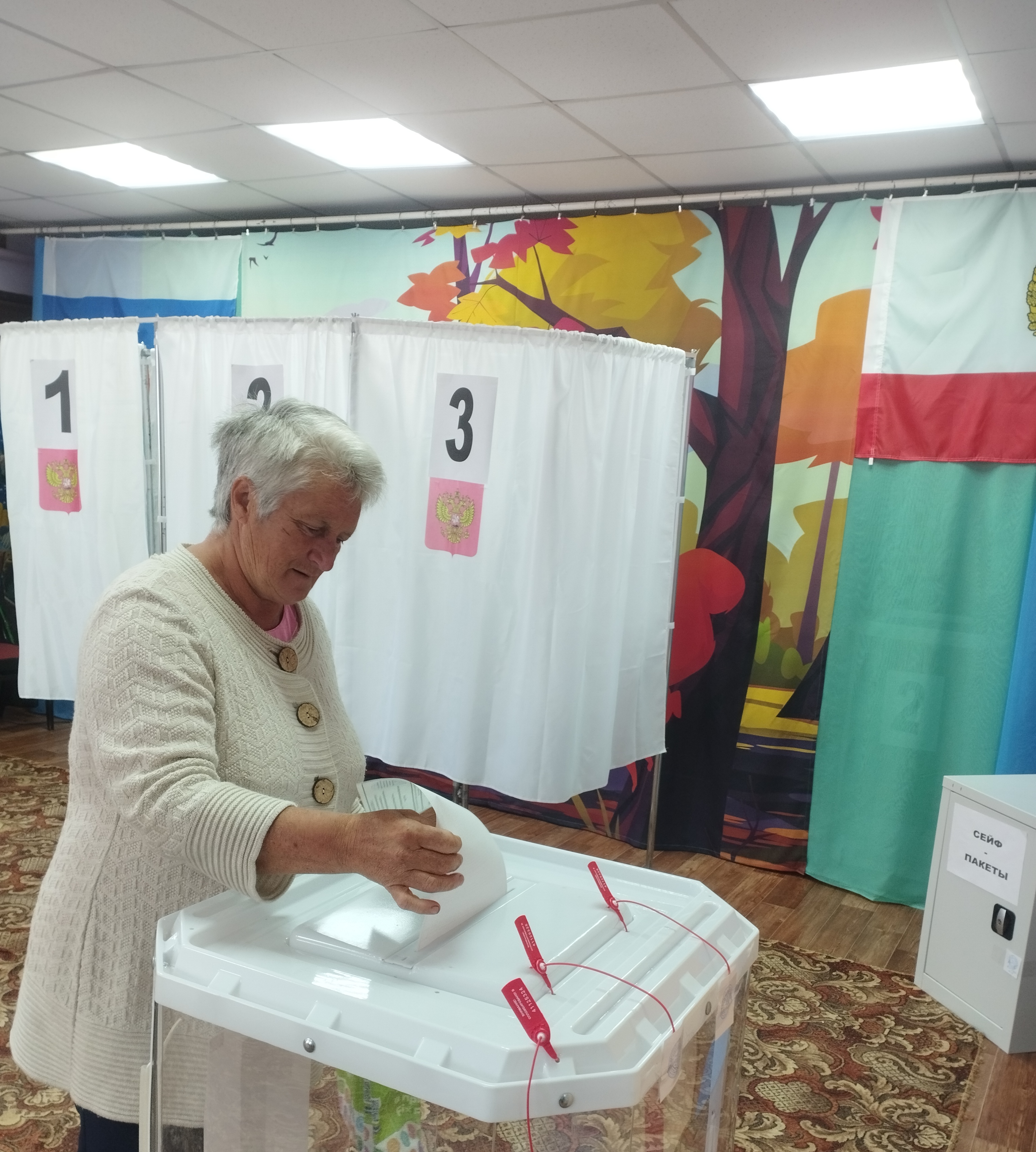 Сообщение — УИК №1338, Саратовская область