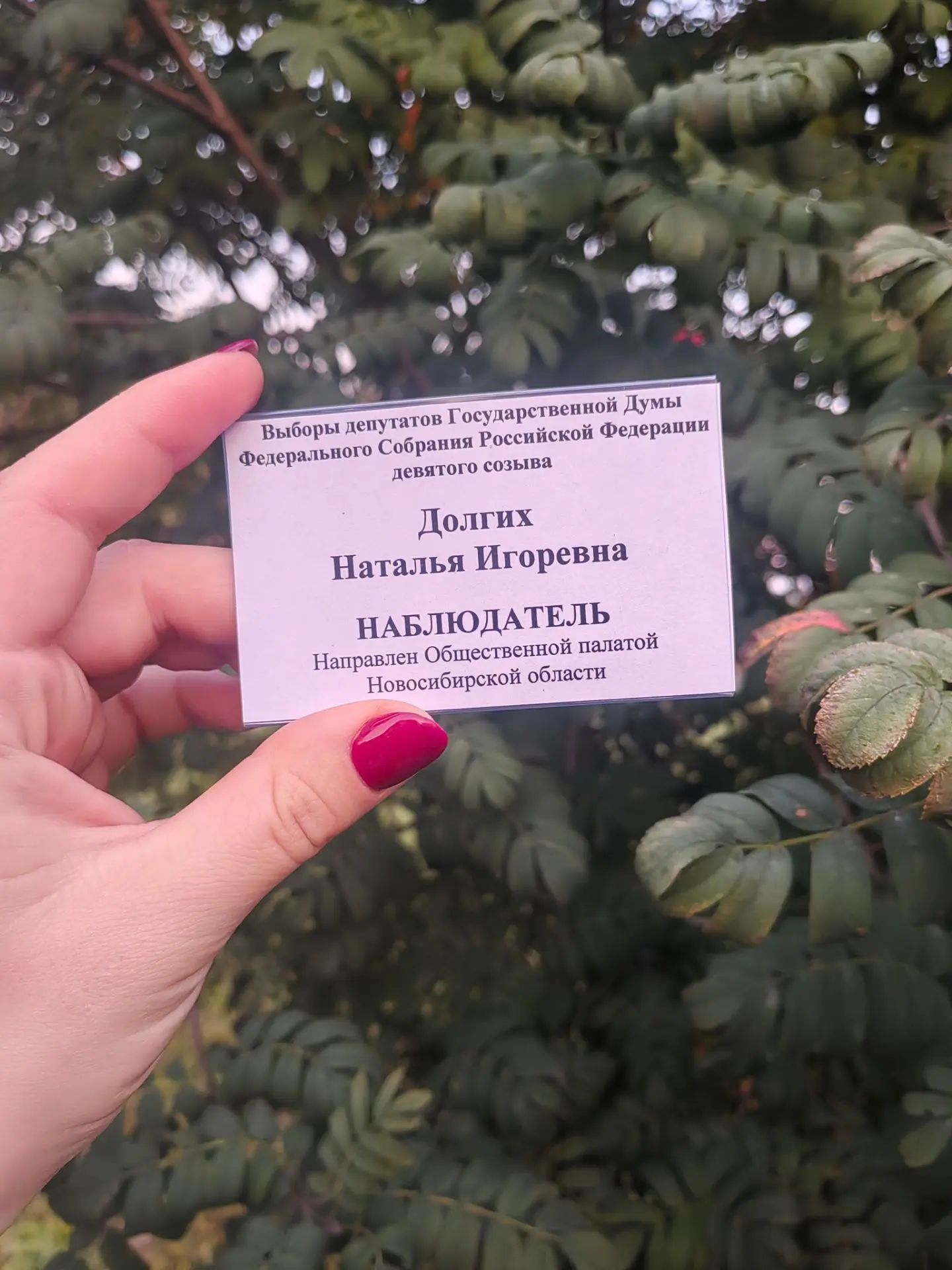 Сообщение — УИК №1405, Новосибирская область