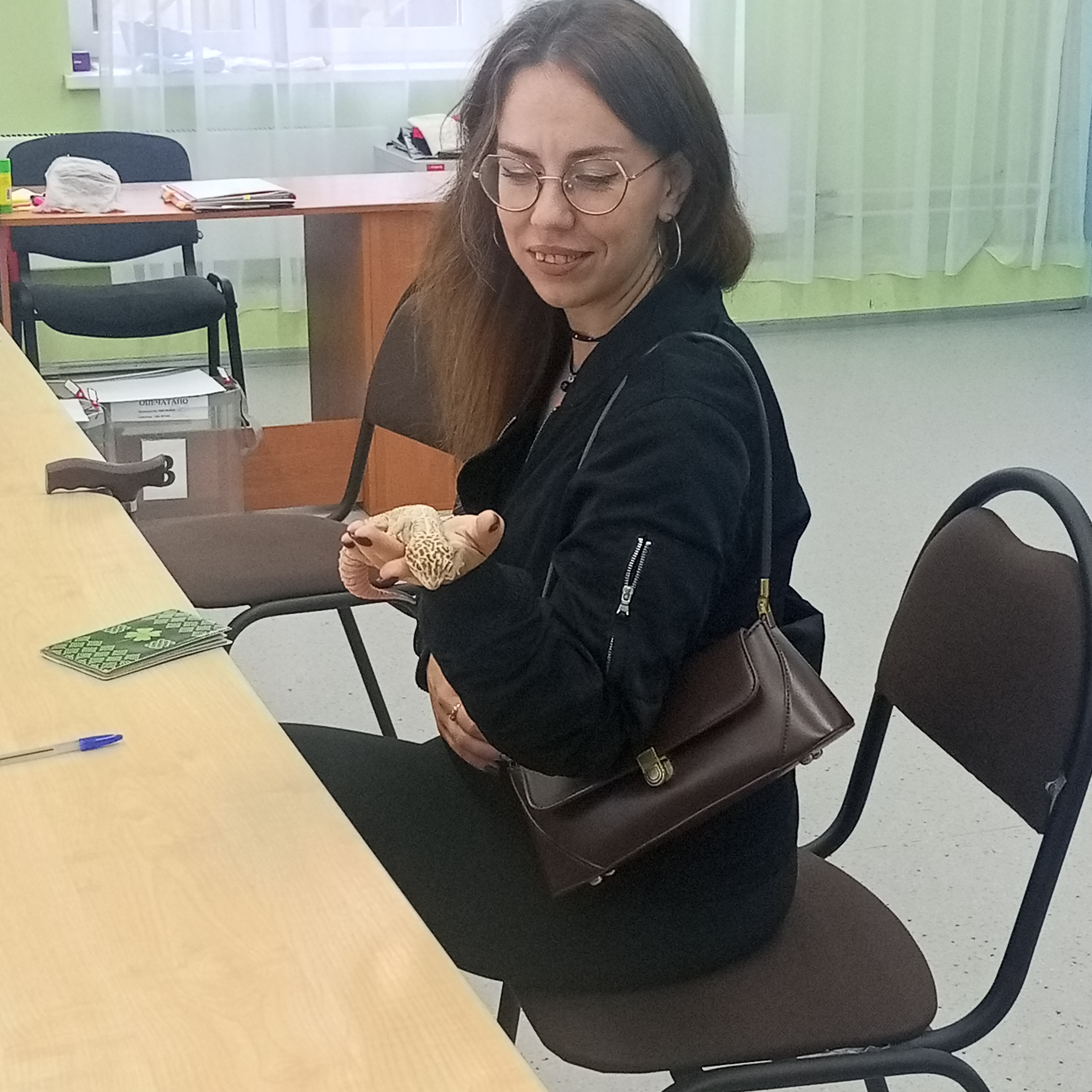 Сообщение — УИК №3660, Московская область