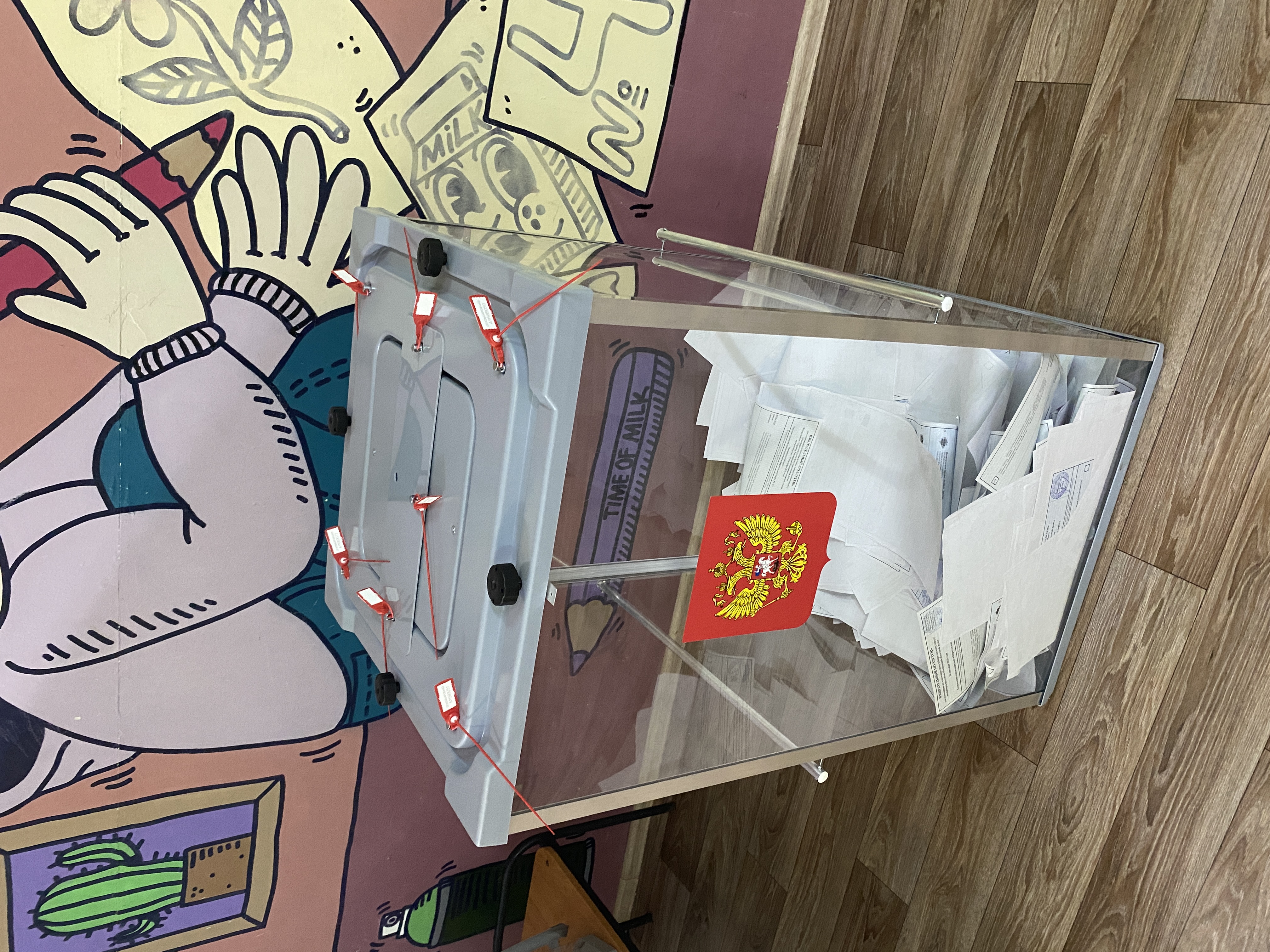 Сообщение — УИК №509, Московская область
