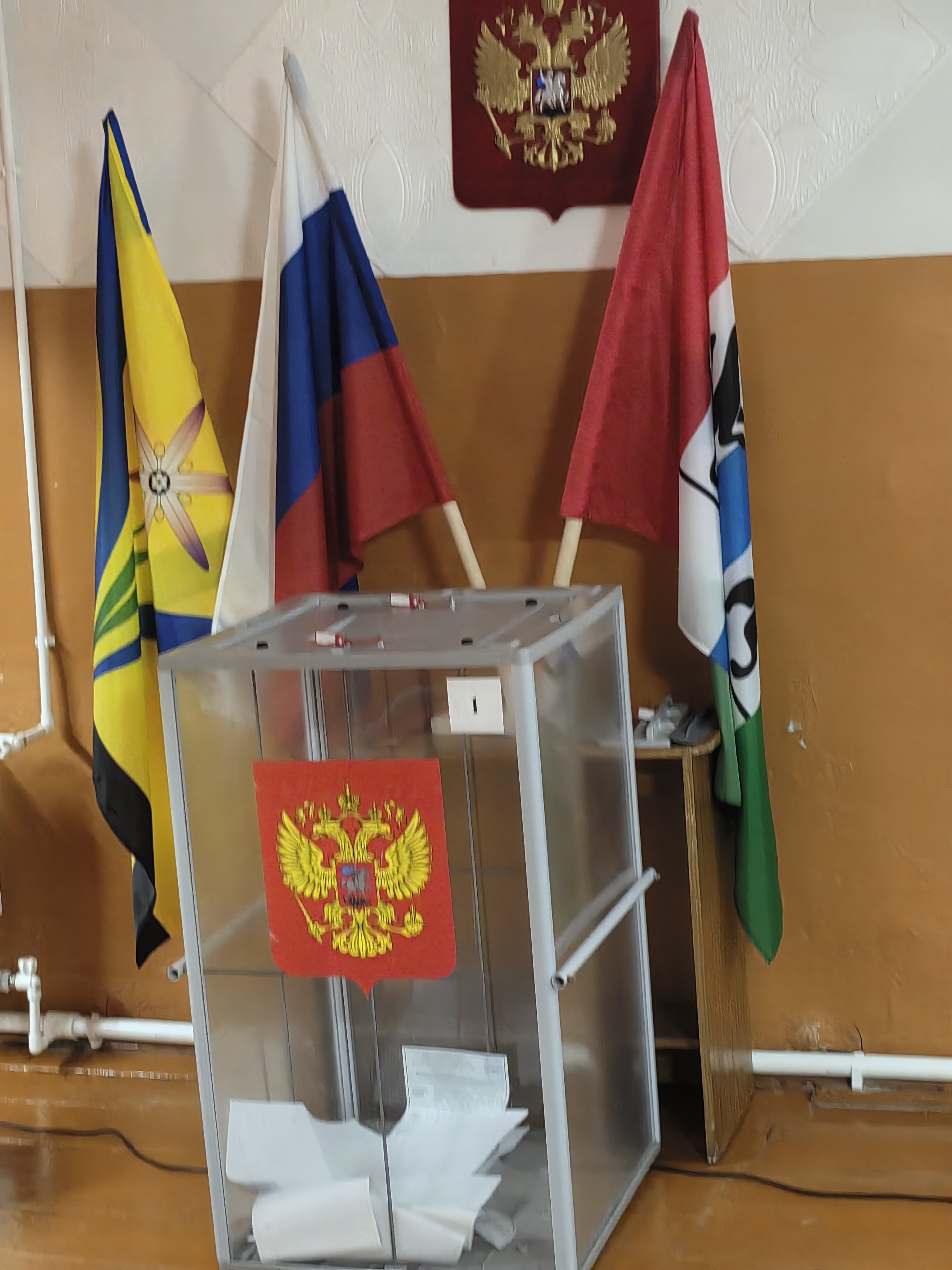 Сообщение — УИК №295, Новосибирская область