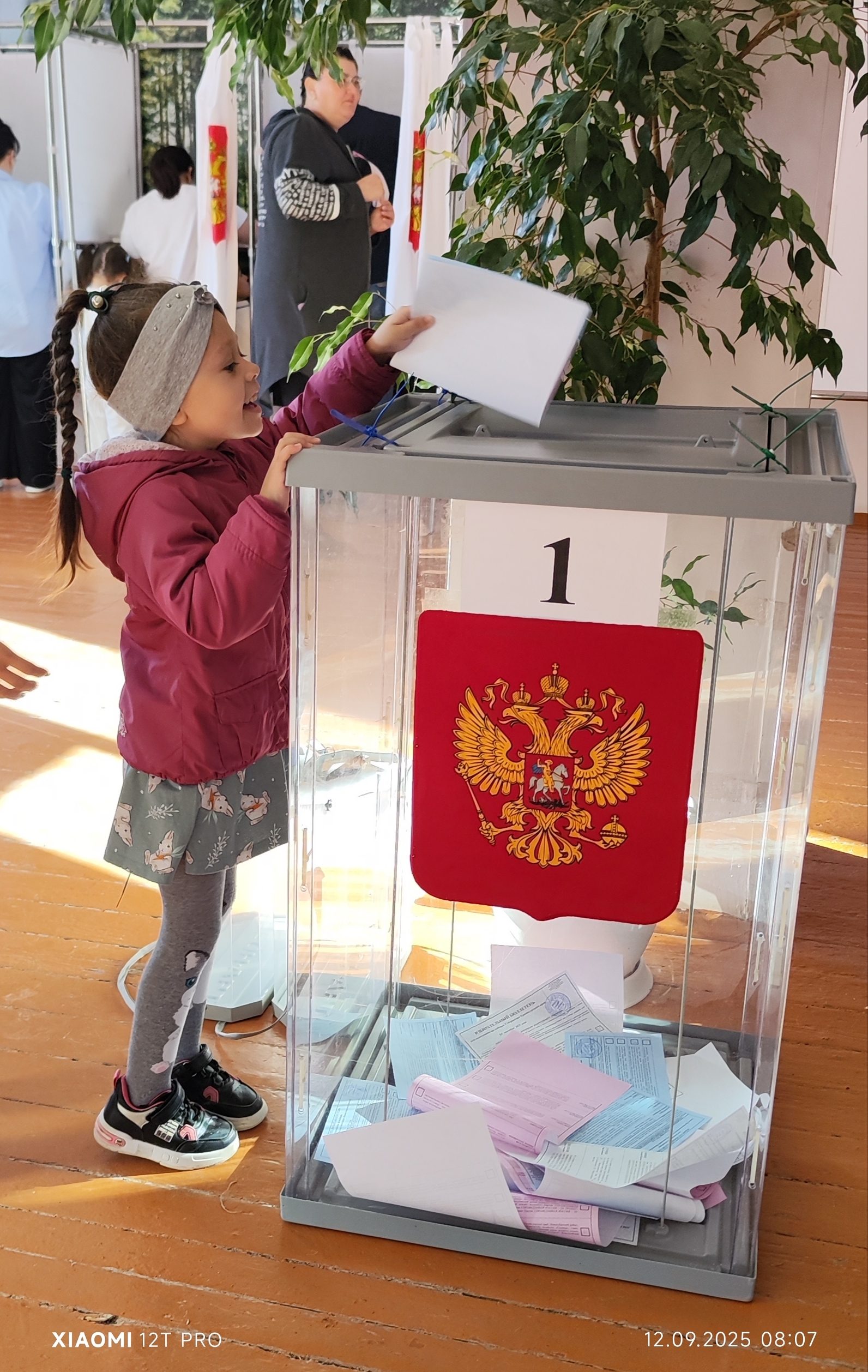 Сообщение наблюдателя — УИК №3238, Краснодарский край