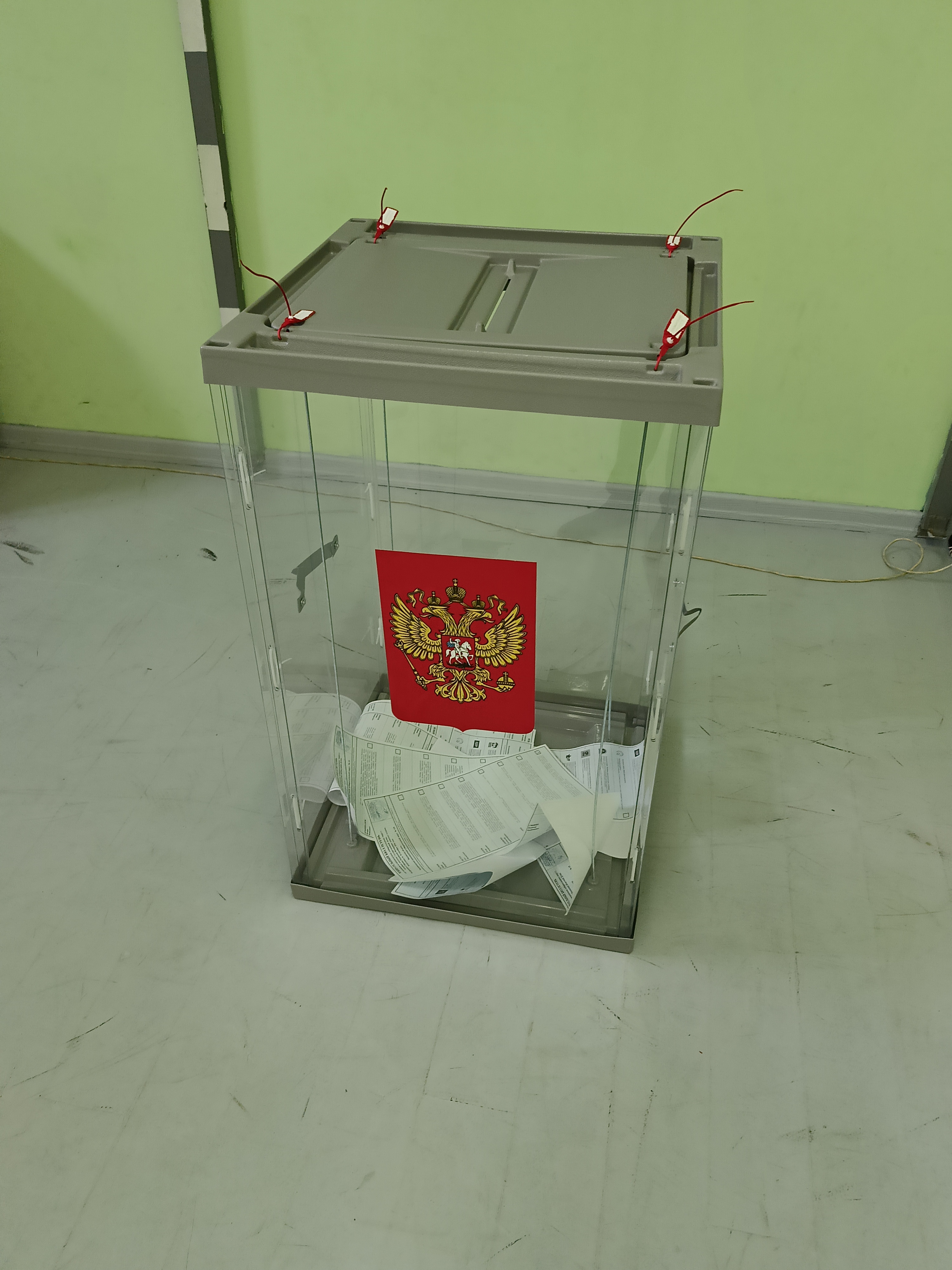 Сообщение — УИК №584, Московская область