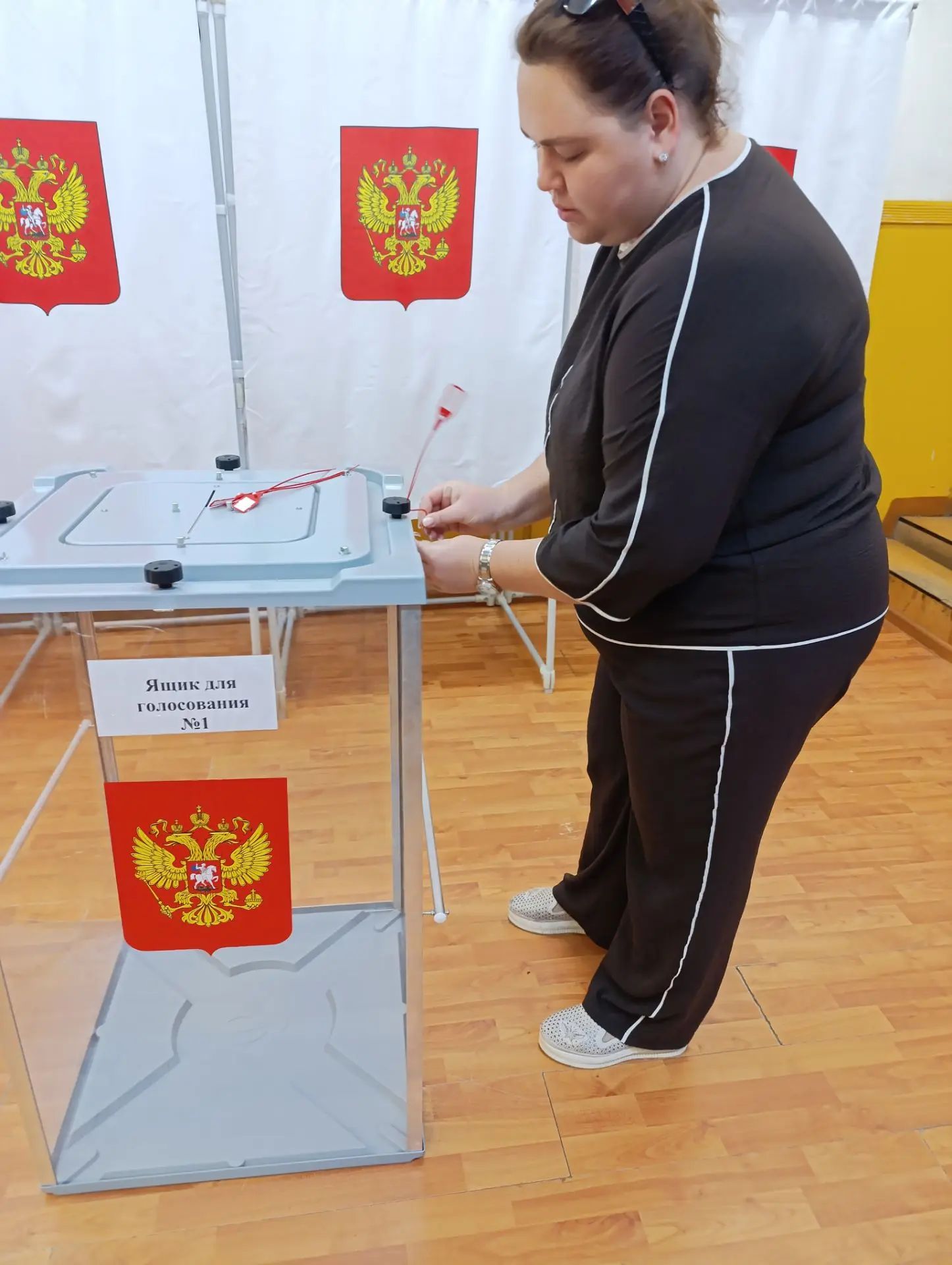 Сообщение — УИК №712, Московская область