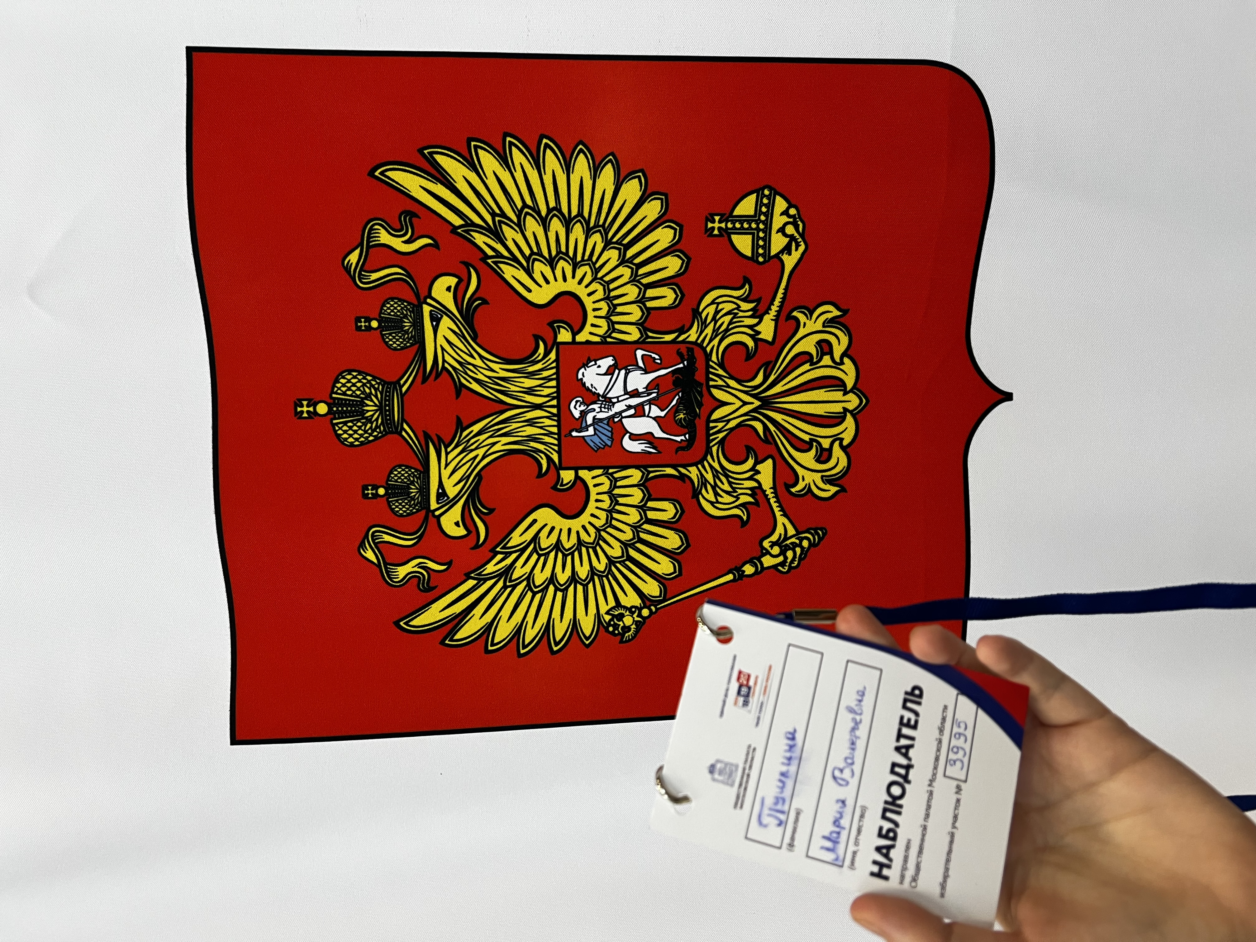 Сообщение — УИК №3995, Московская область