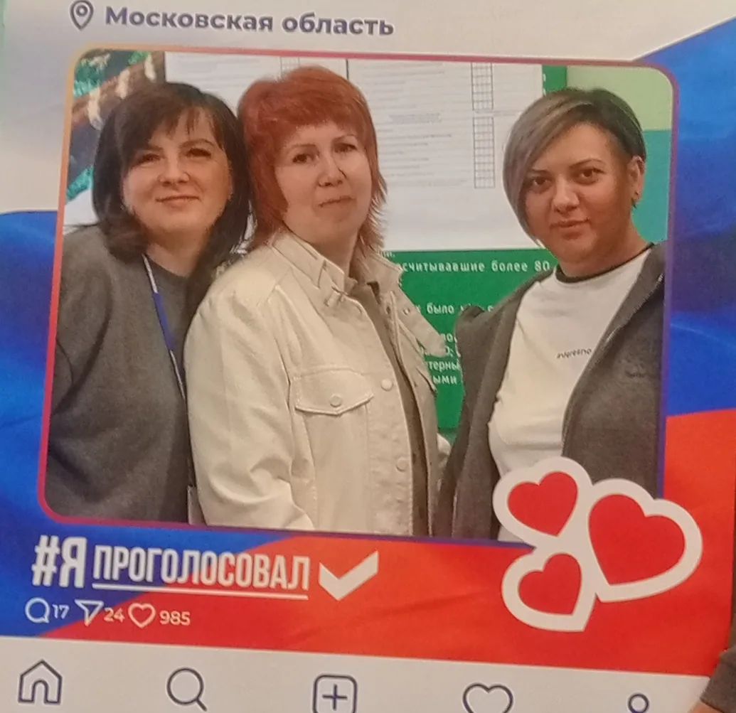 Сообщение — УИК №2959, Московская область